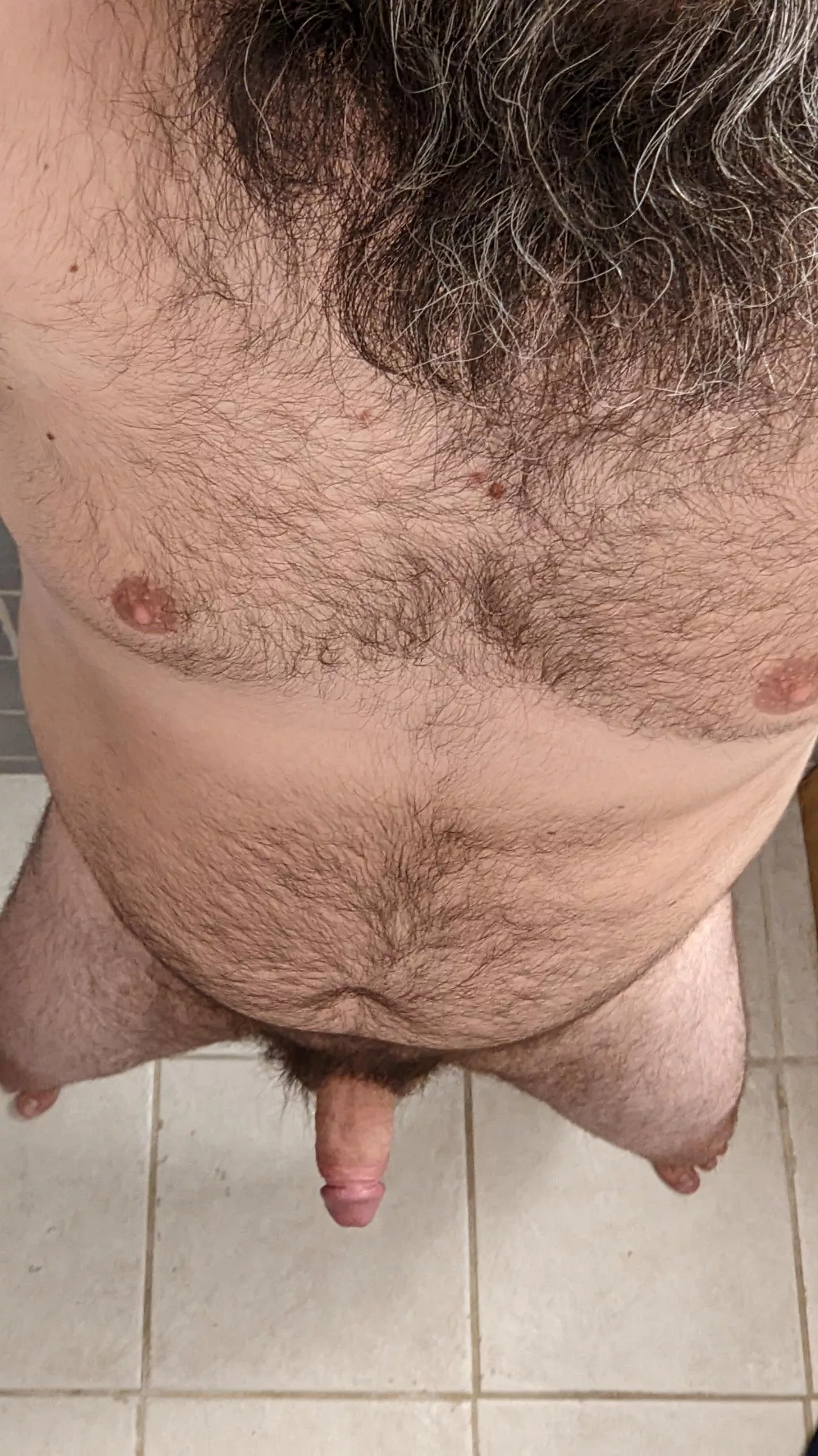 (36)semi-hard, all hairy