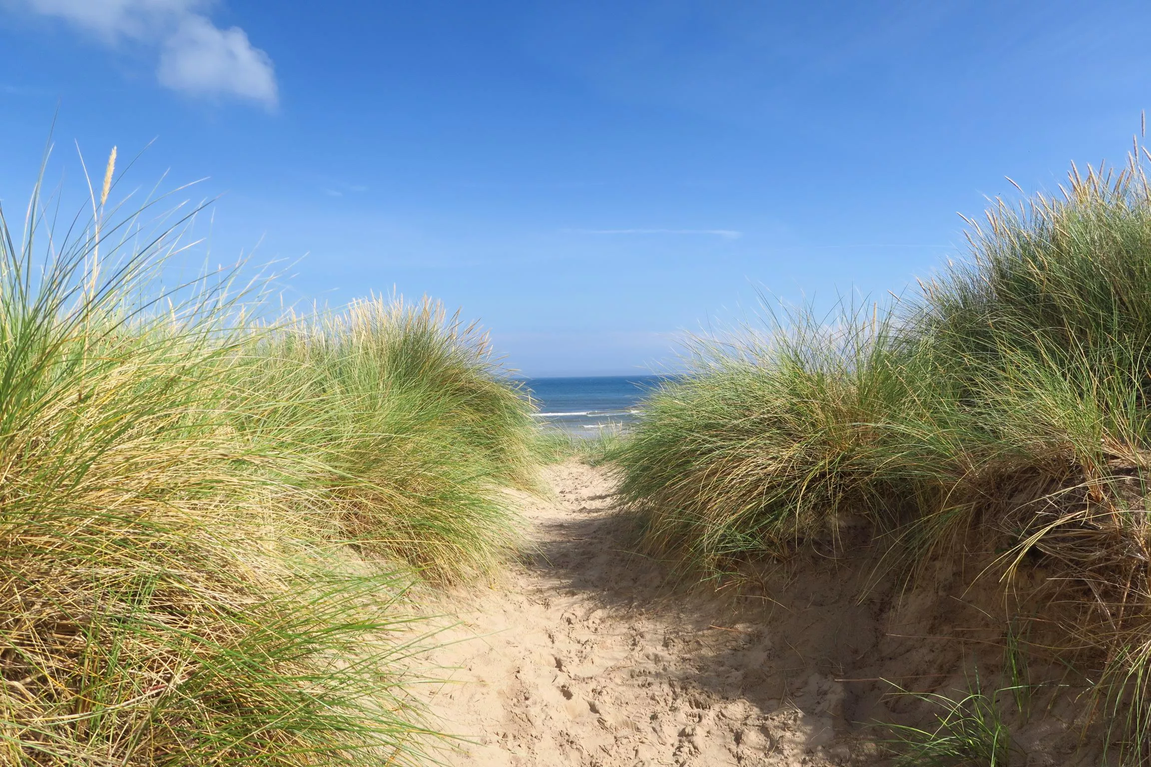 Almost there... Bamburgh, Northumberland (OC)