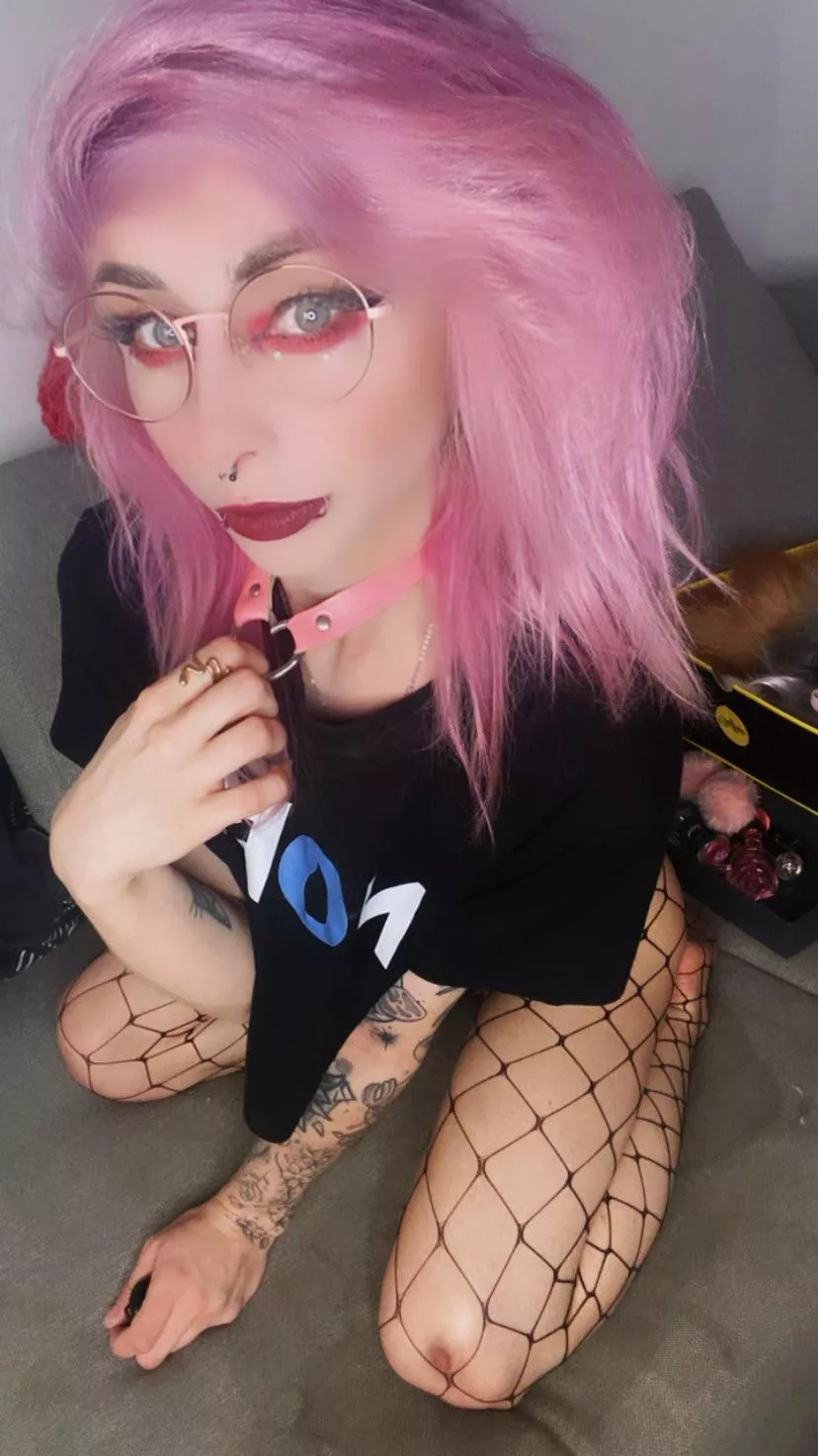 I go to stream in 5min! :3 https://m.chaturbate.com/cloudie_x3/