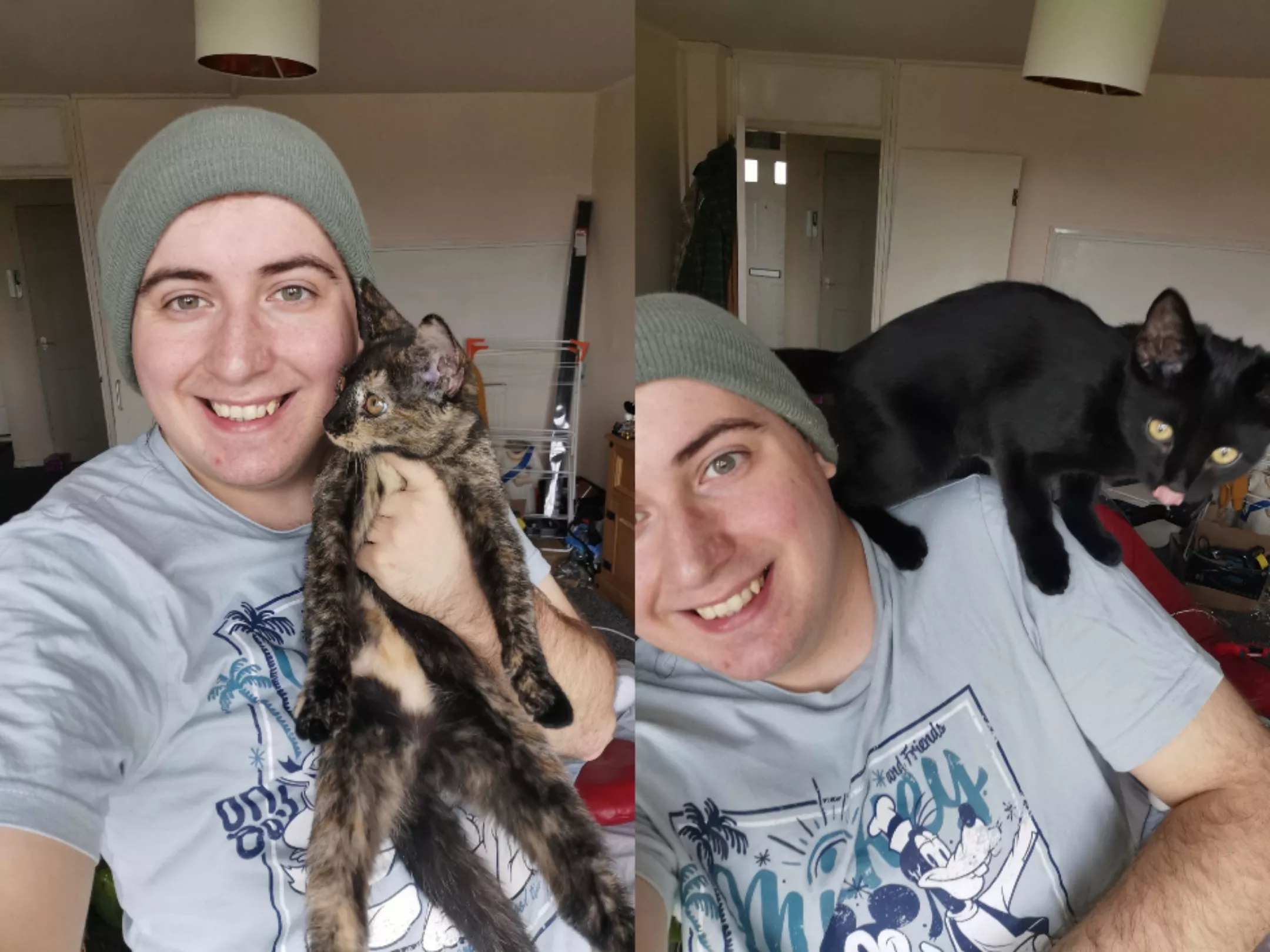 Kitten selfies :)