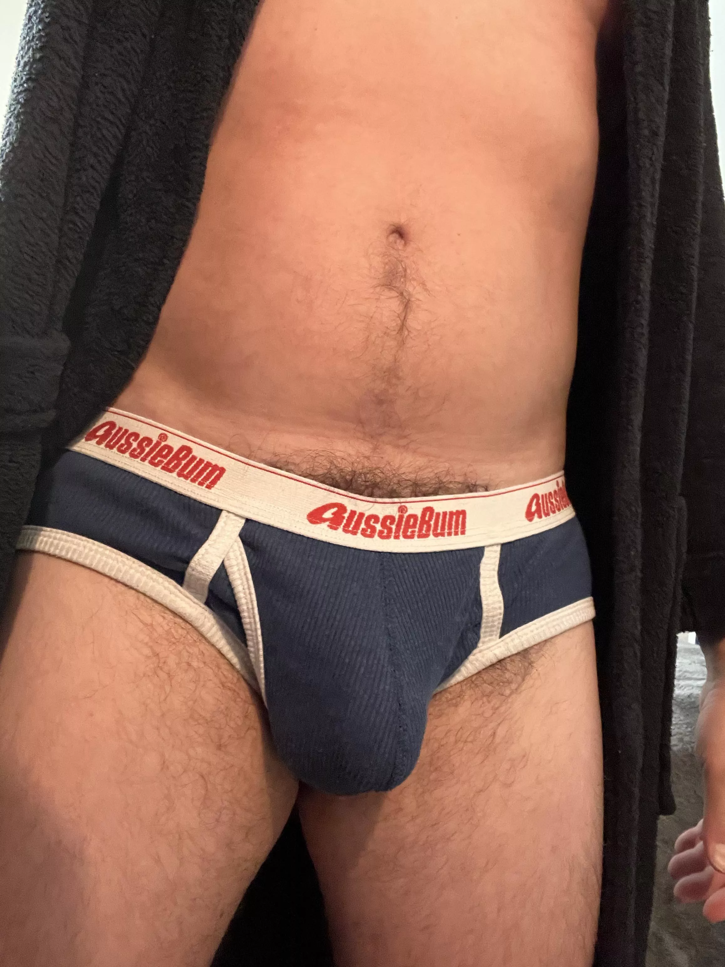 My briefs for the day