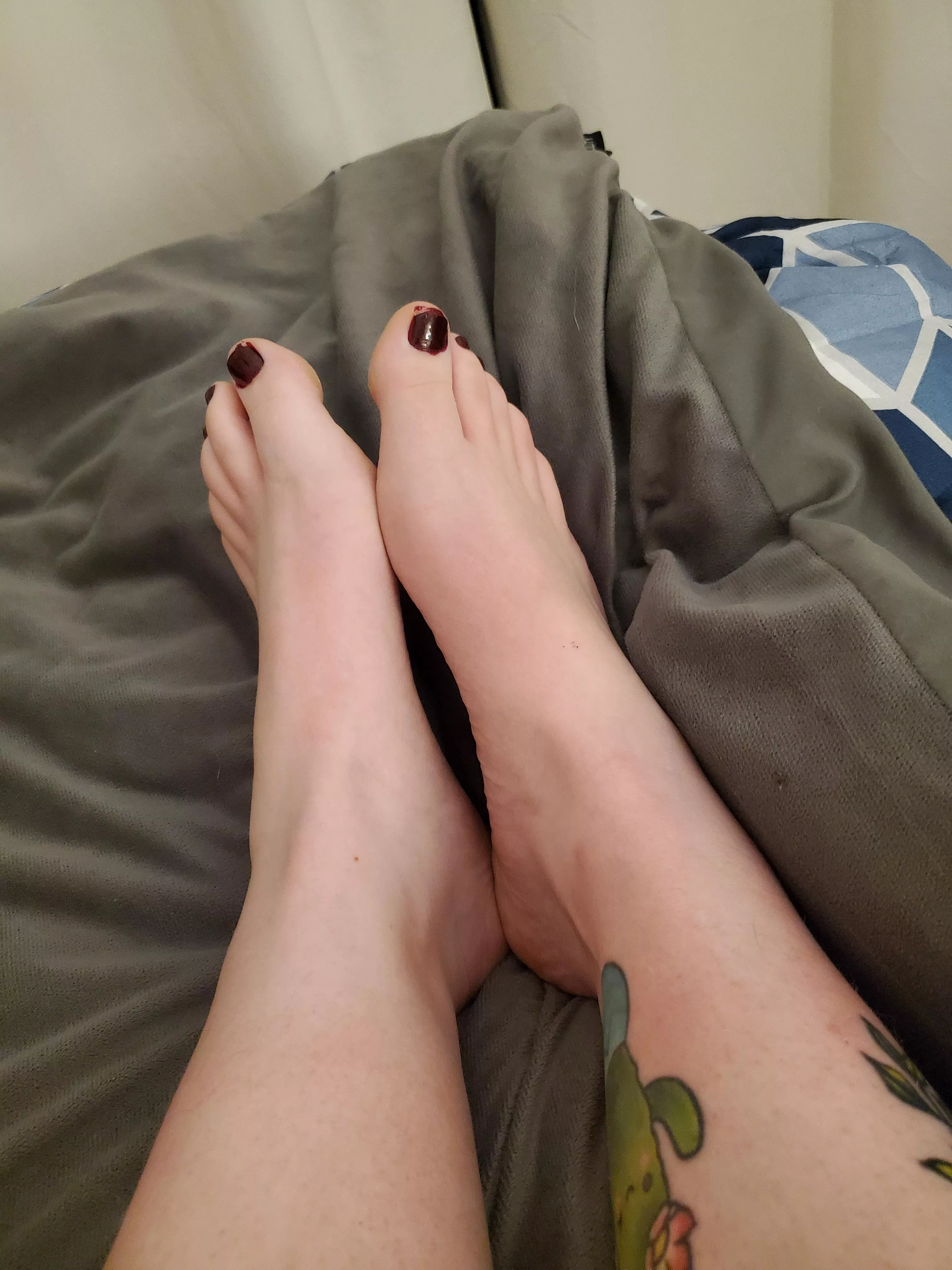 Wine red toesies