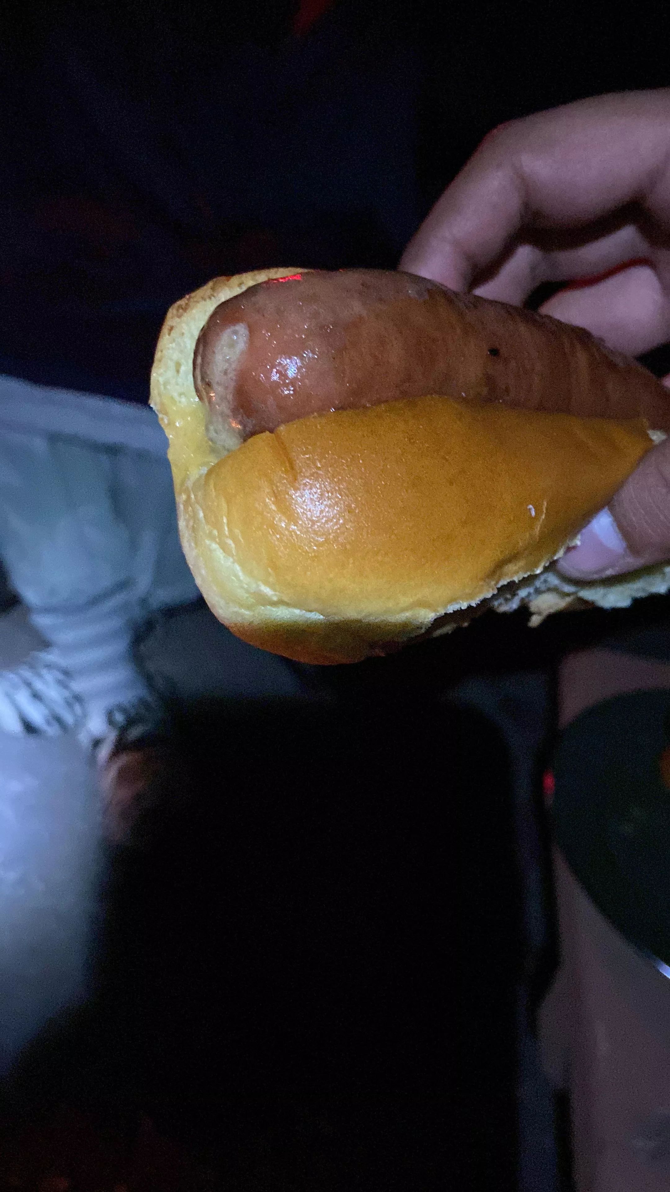 Fire roasted cheddar bacon wiener on a brioche bun