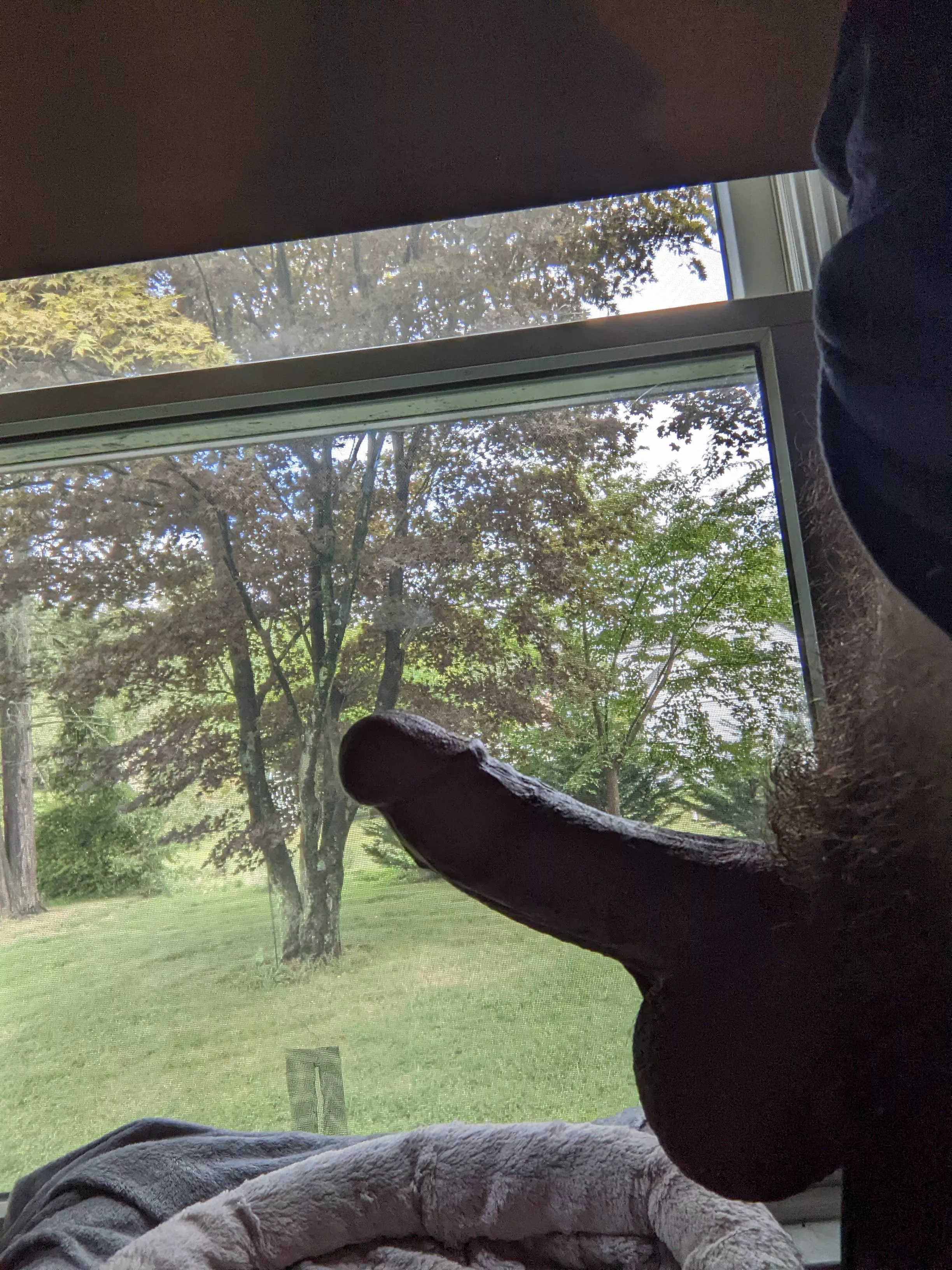 jerking off infront of a window so my neighbors can watch ;) (my dms are open)