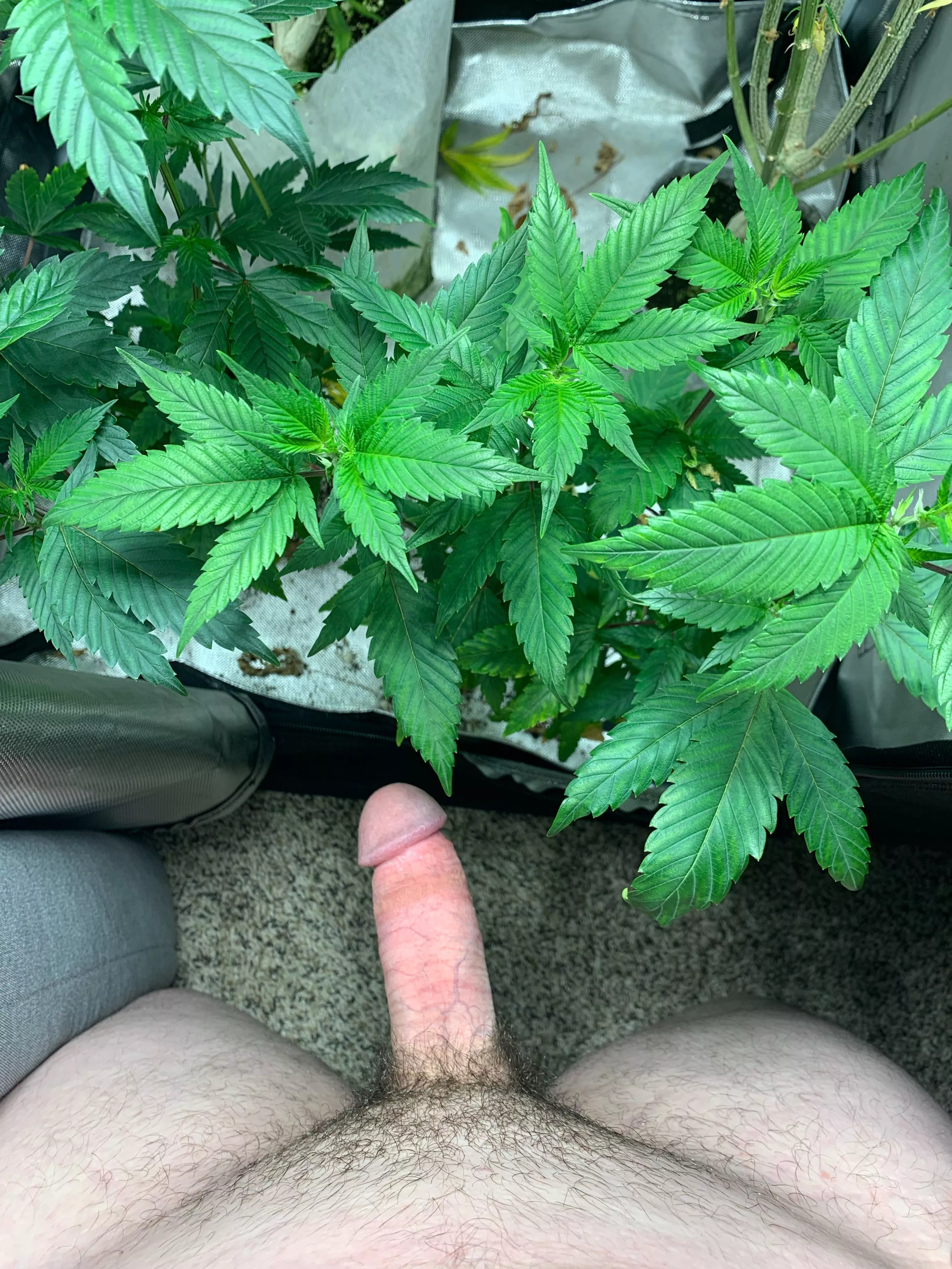 31[M] who wants to help with some plant work? ðŸ˜œ