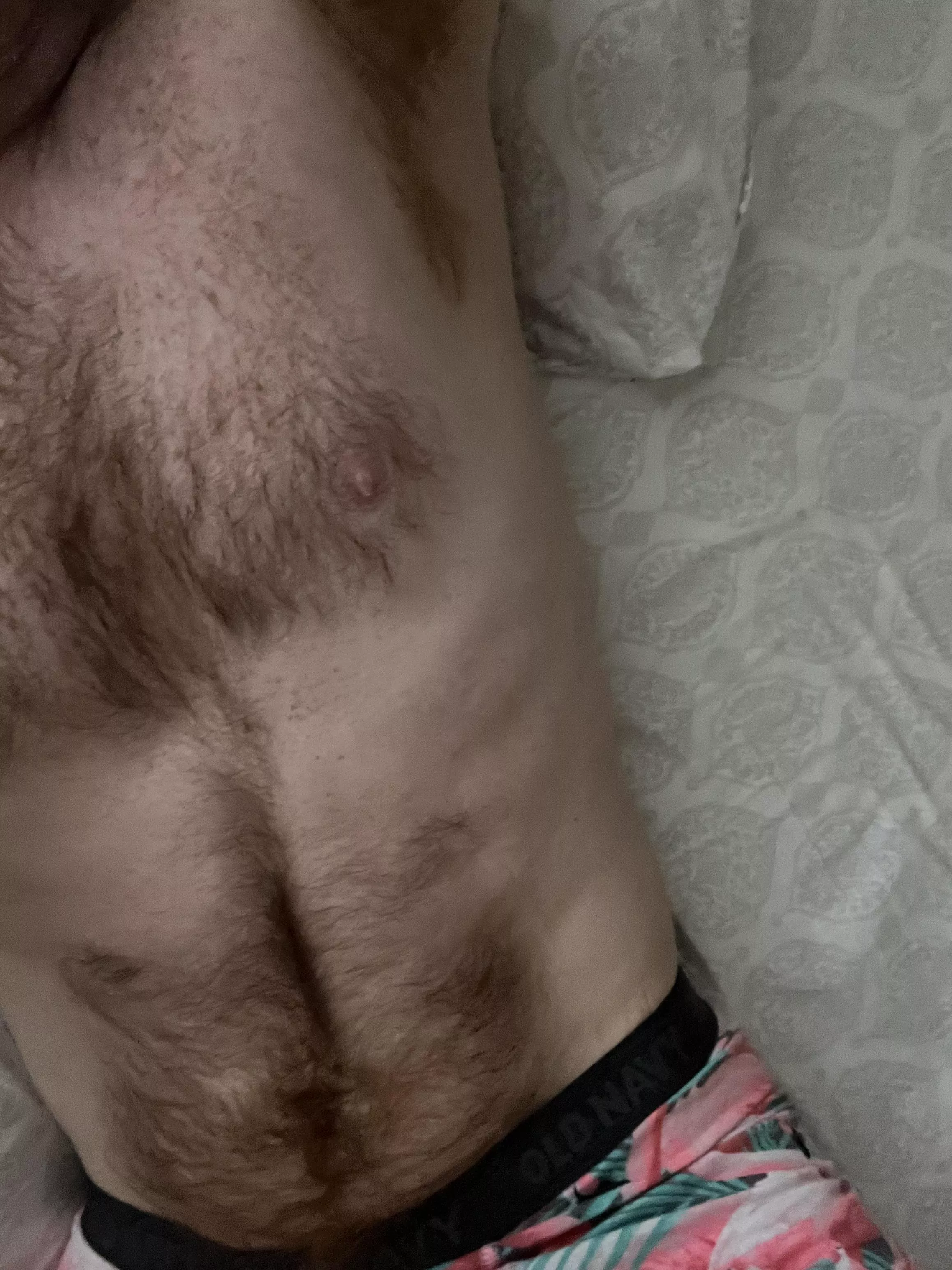 Body hair appreciation post, whatâ€™s your favorite area on me?