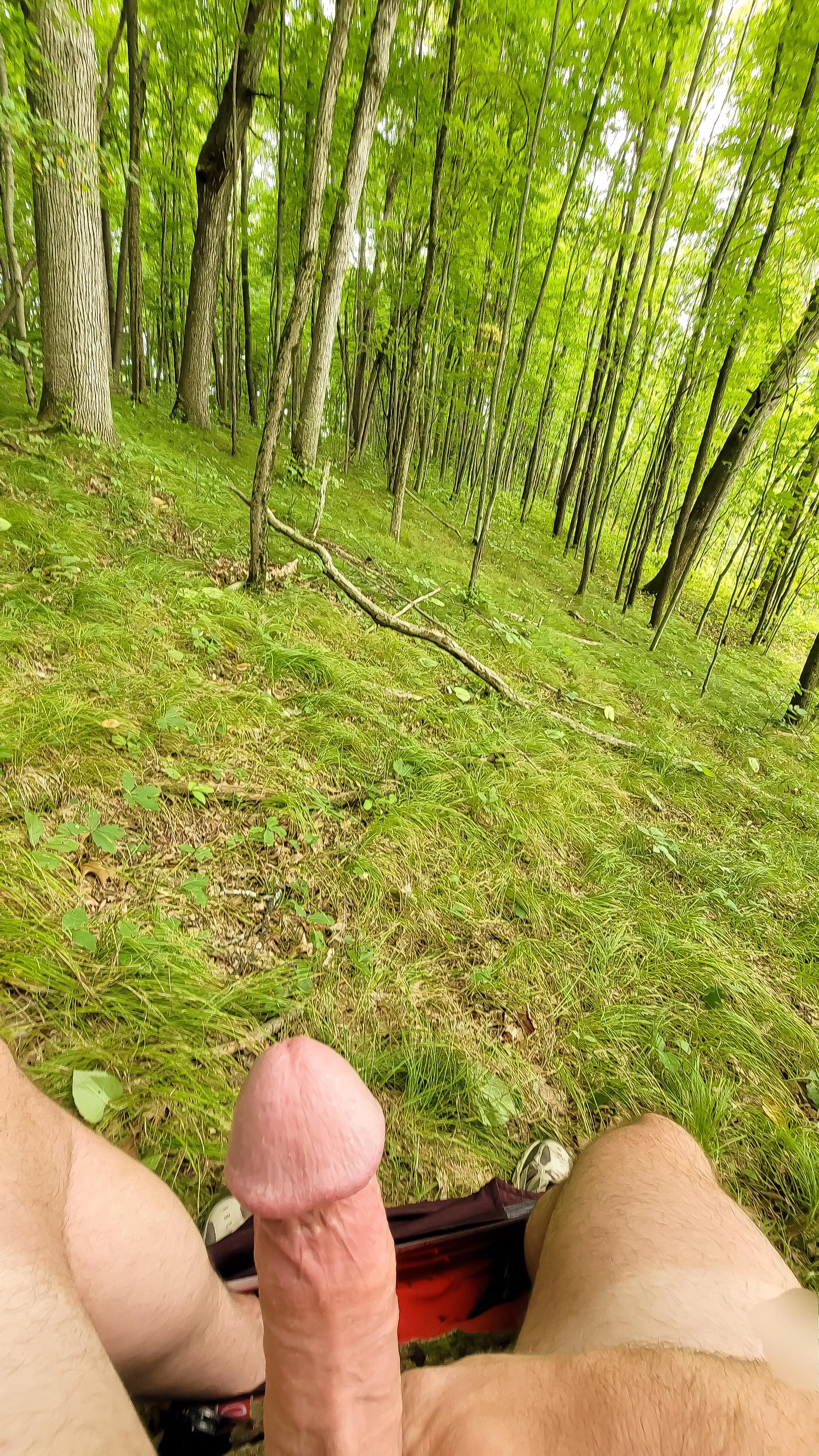 Found a mushroom on my hike