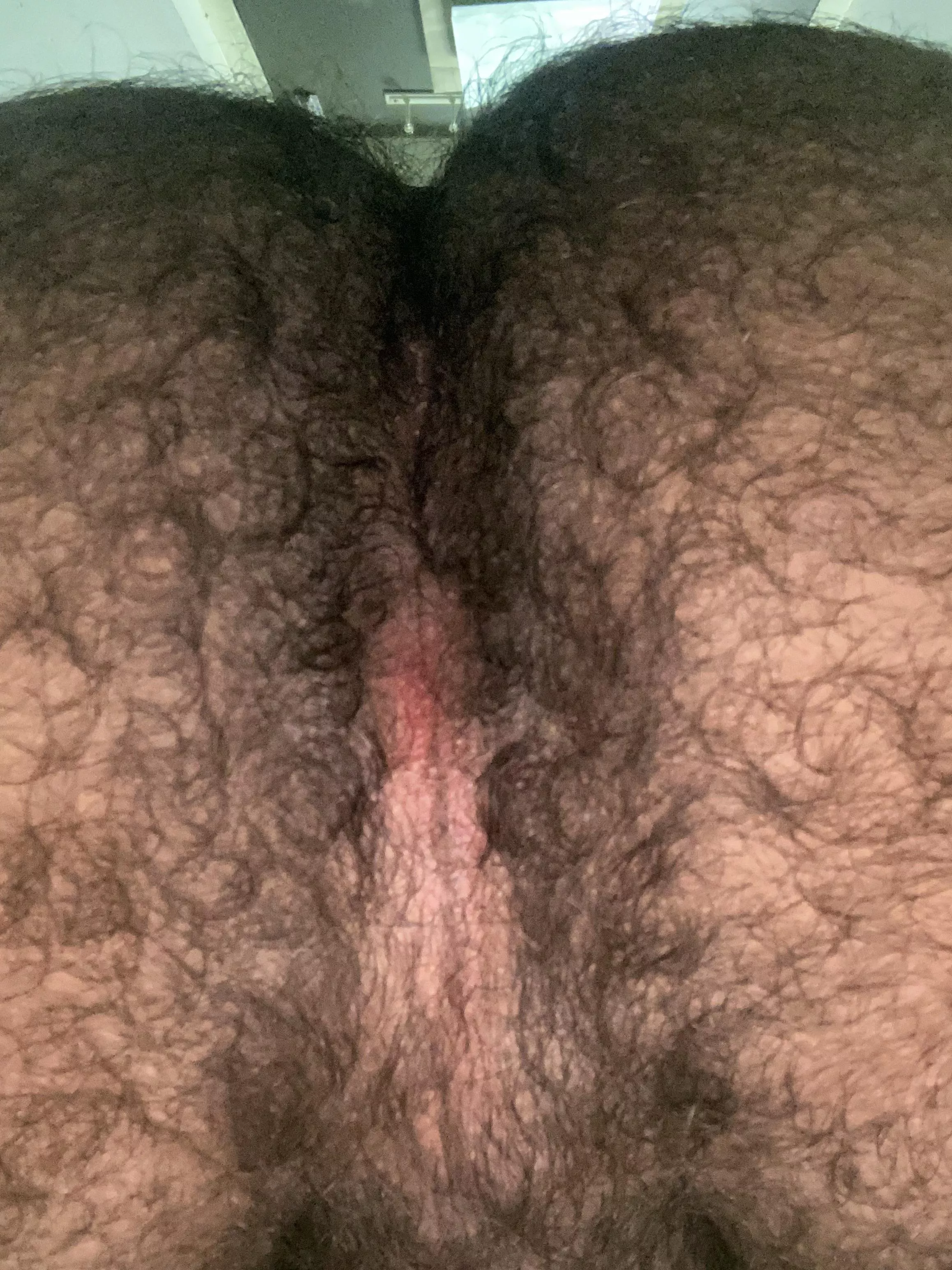 Hairy ass that likes to be licked