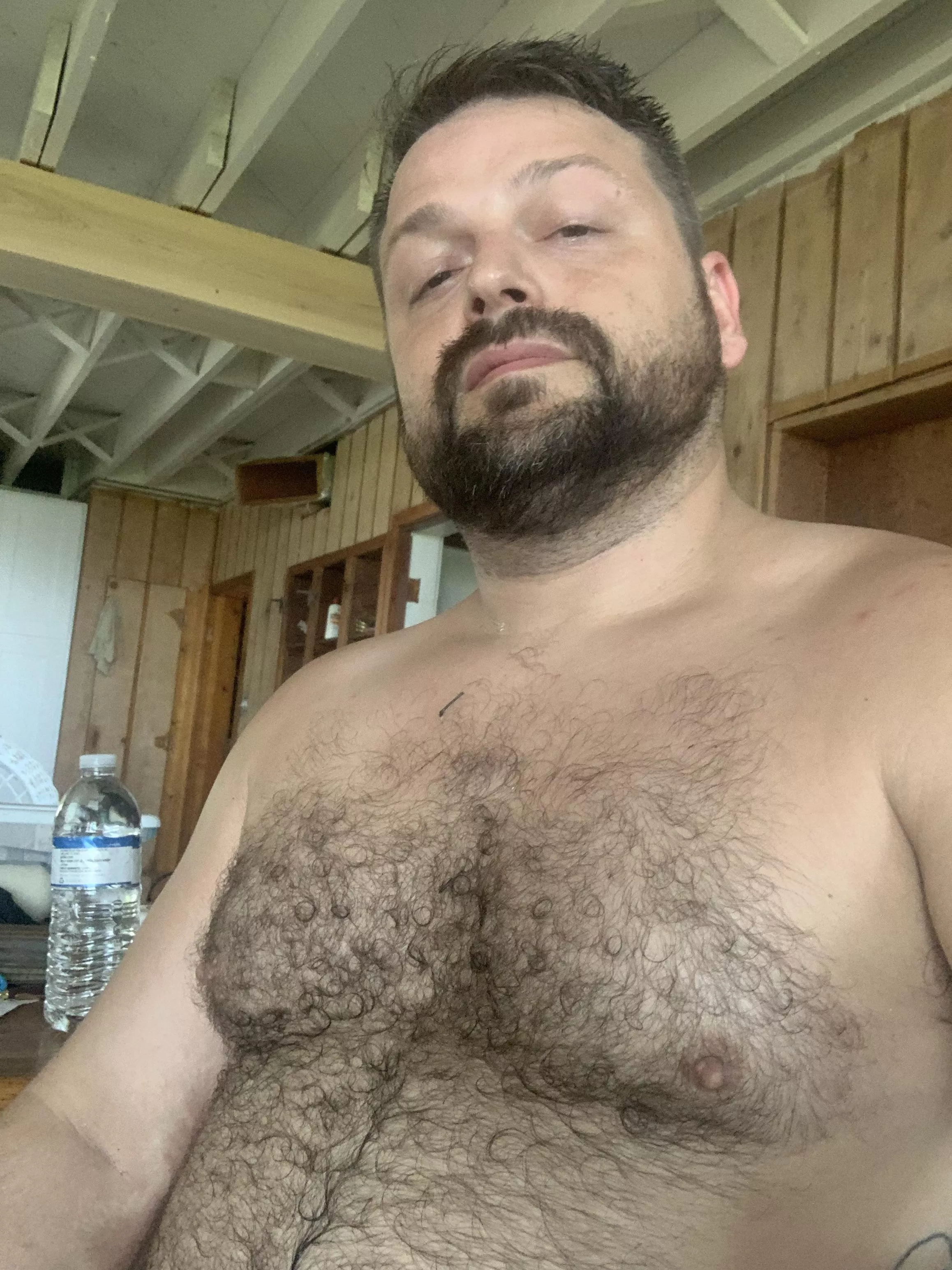 Hairy bear