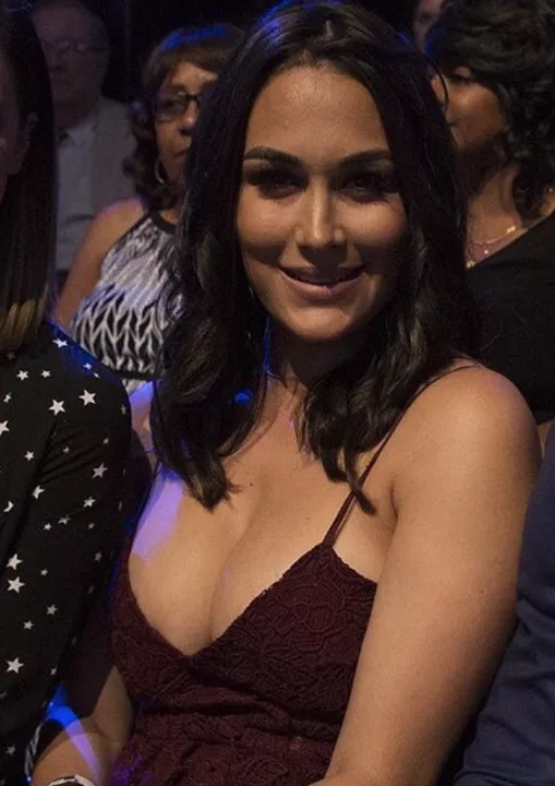 Brie Bella milf mommy tits