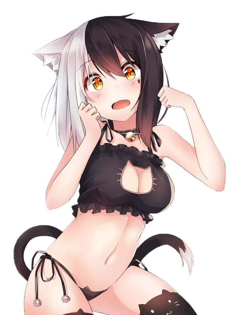 Cat lingerie