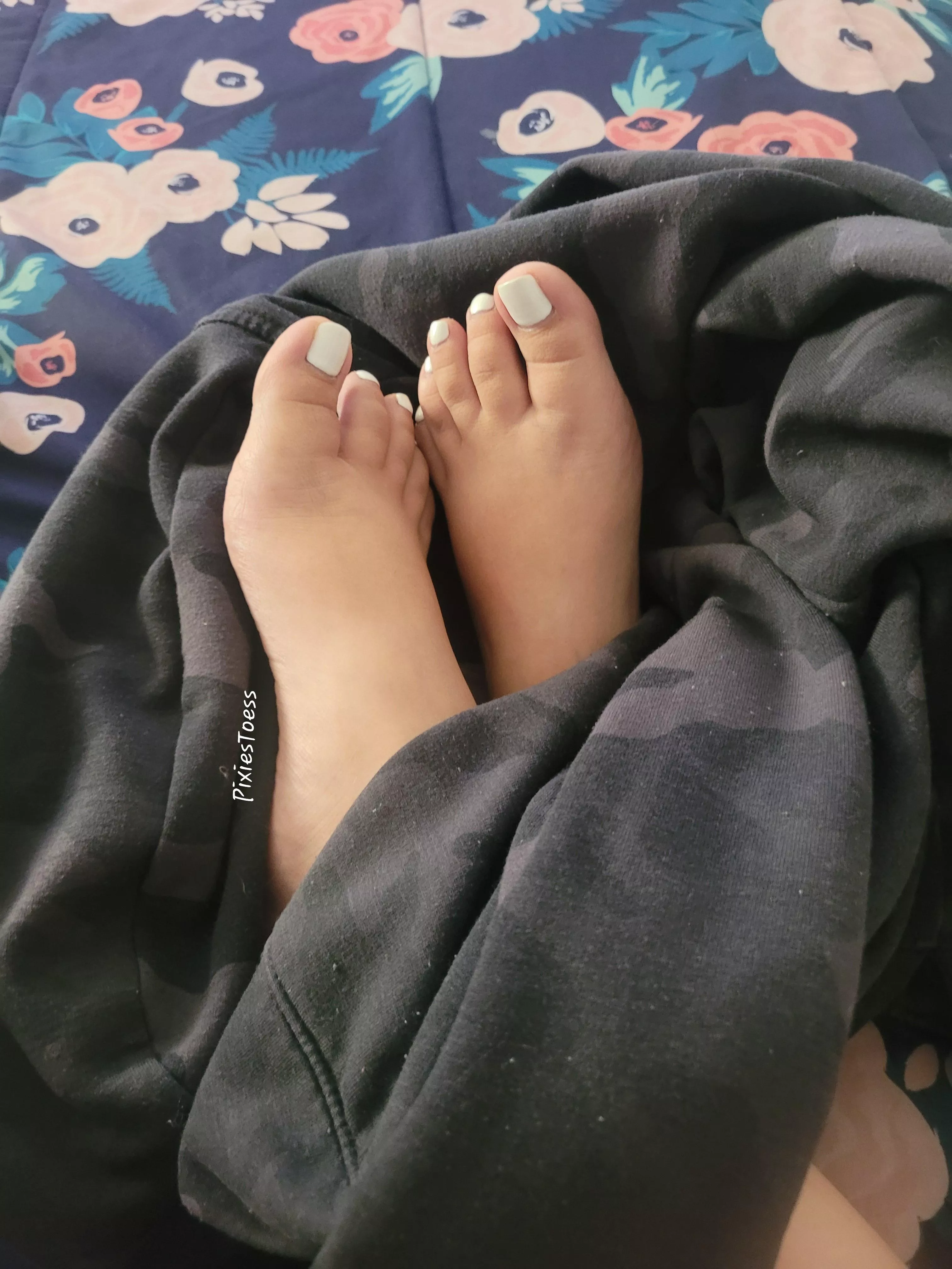 cozy feet ready for a sniff