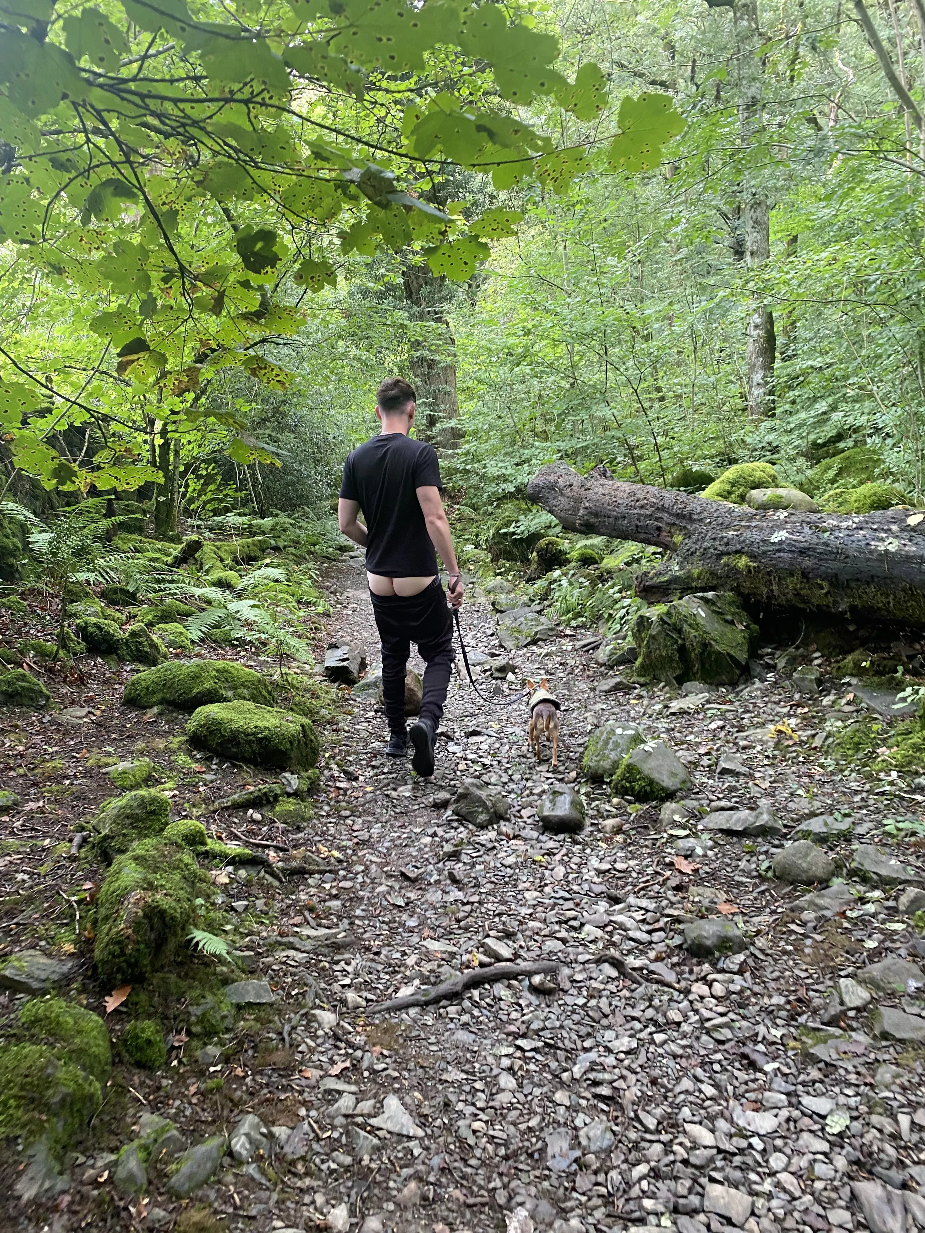 Dog walks in the woods are even better when my boyfriend gets his beautiful bum out for me. ðŸ˜