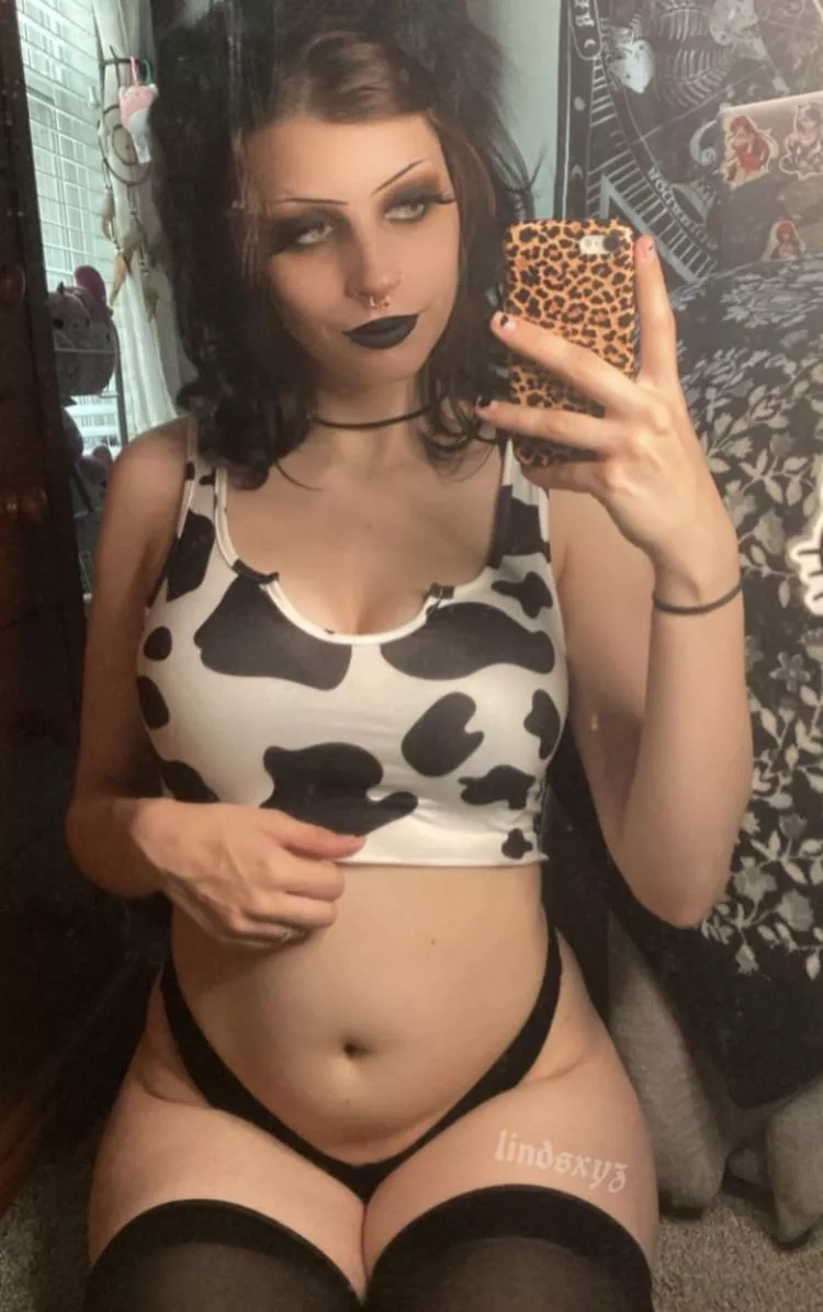 mooo