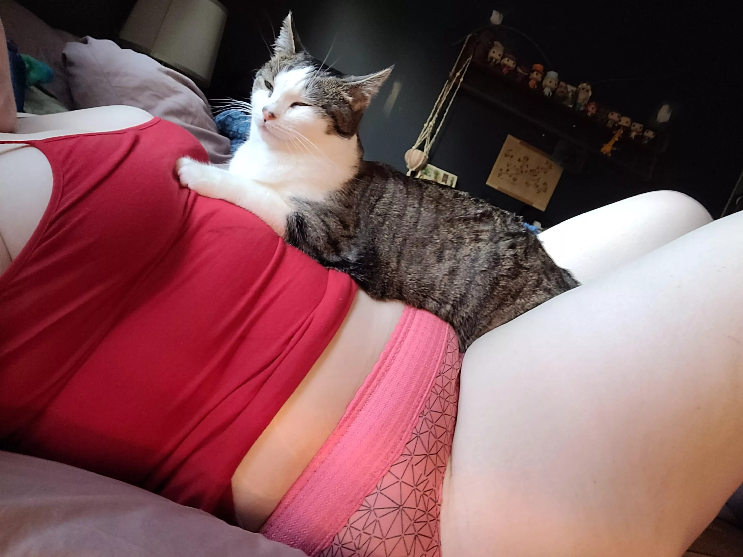 want to come pet my pussy?