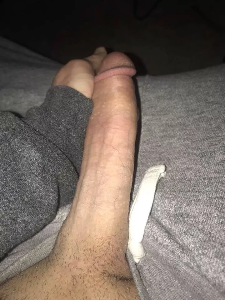 Would you suck my cock ?