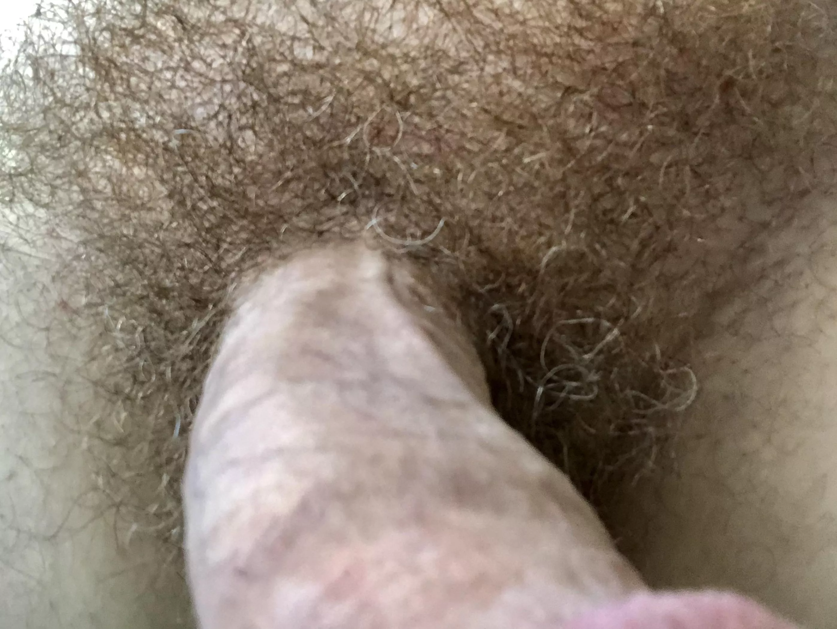 Your view of my bush