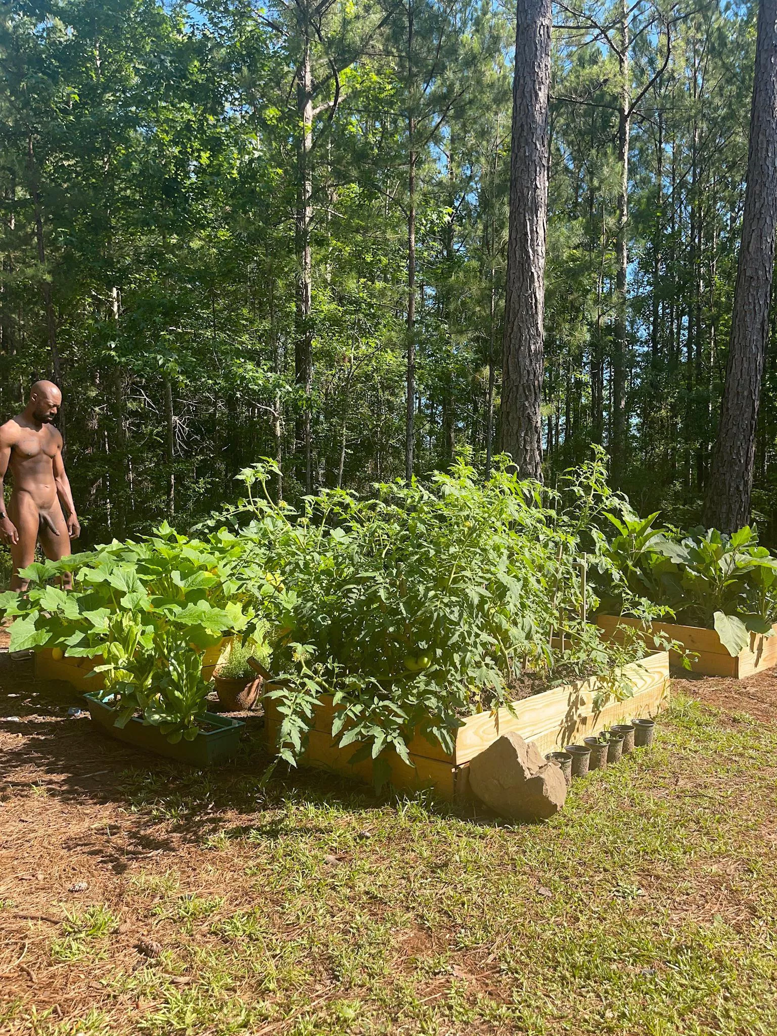 Does gardening count as an adventure?