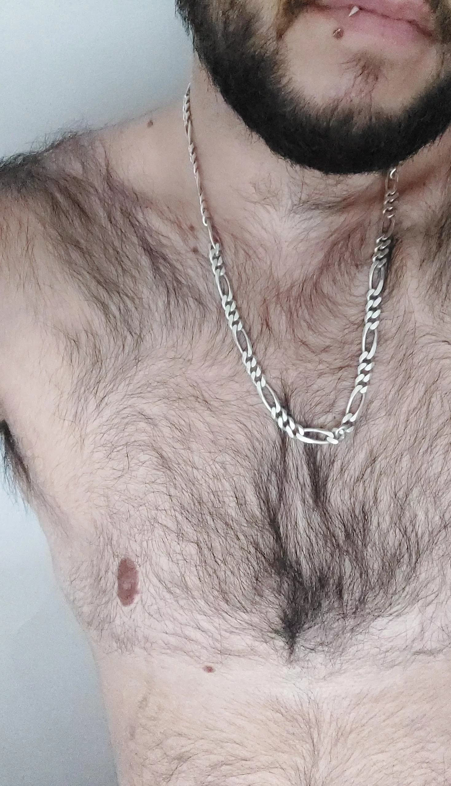 hairy cub that loves showing off my body