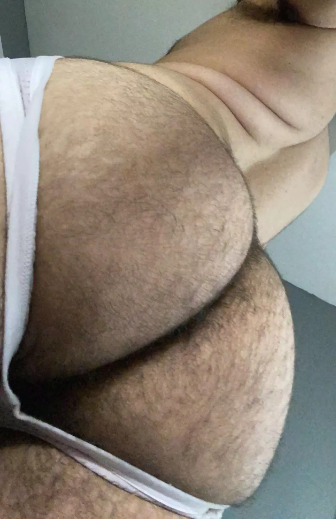 Hairy otter ass in a jockstrap