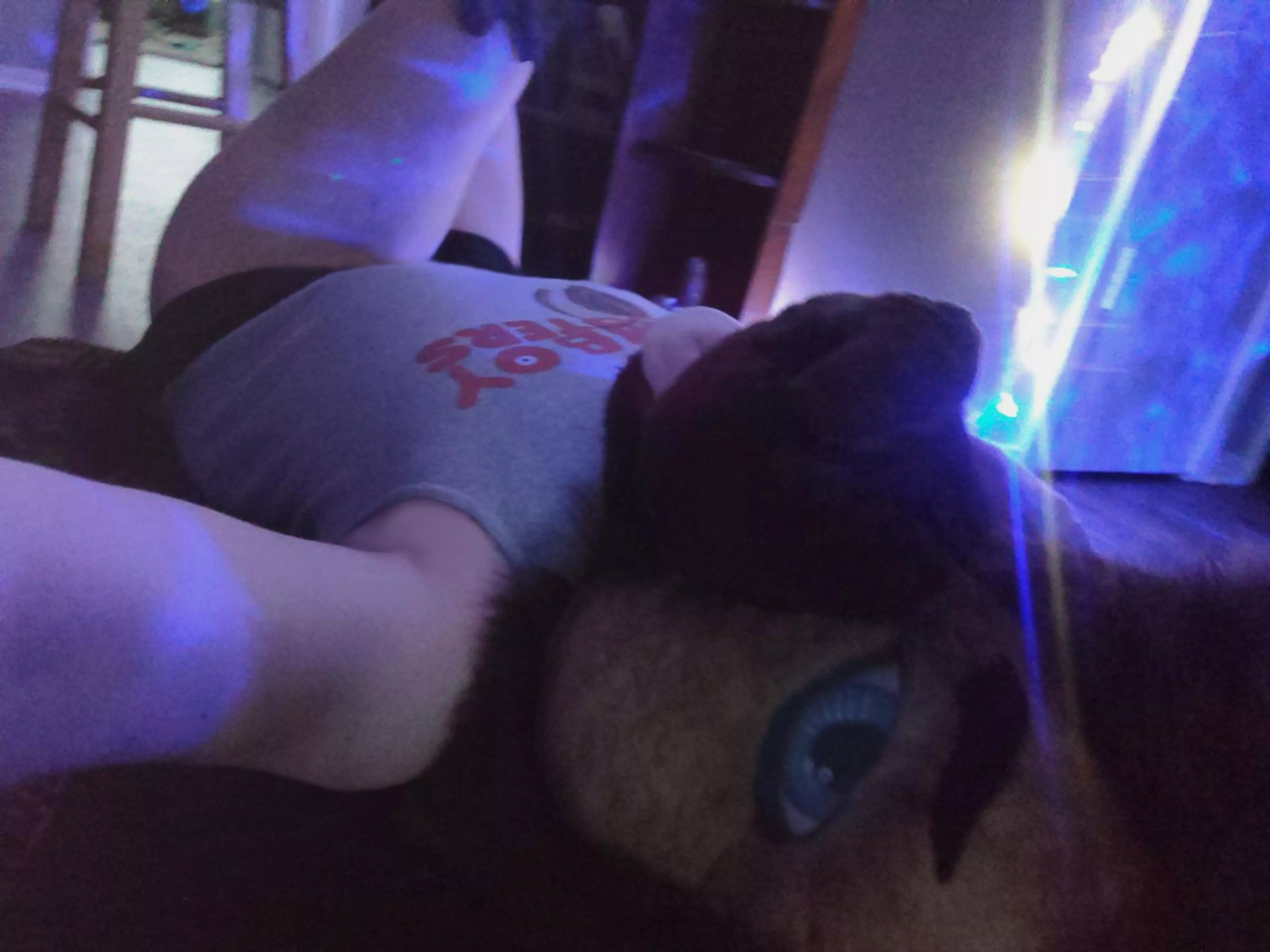 Hi r/fursuitsex~ What are you up to?