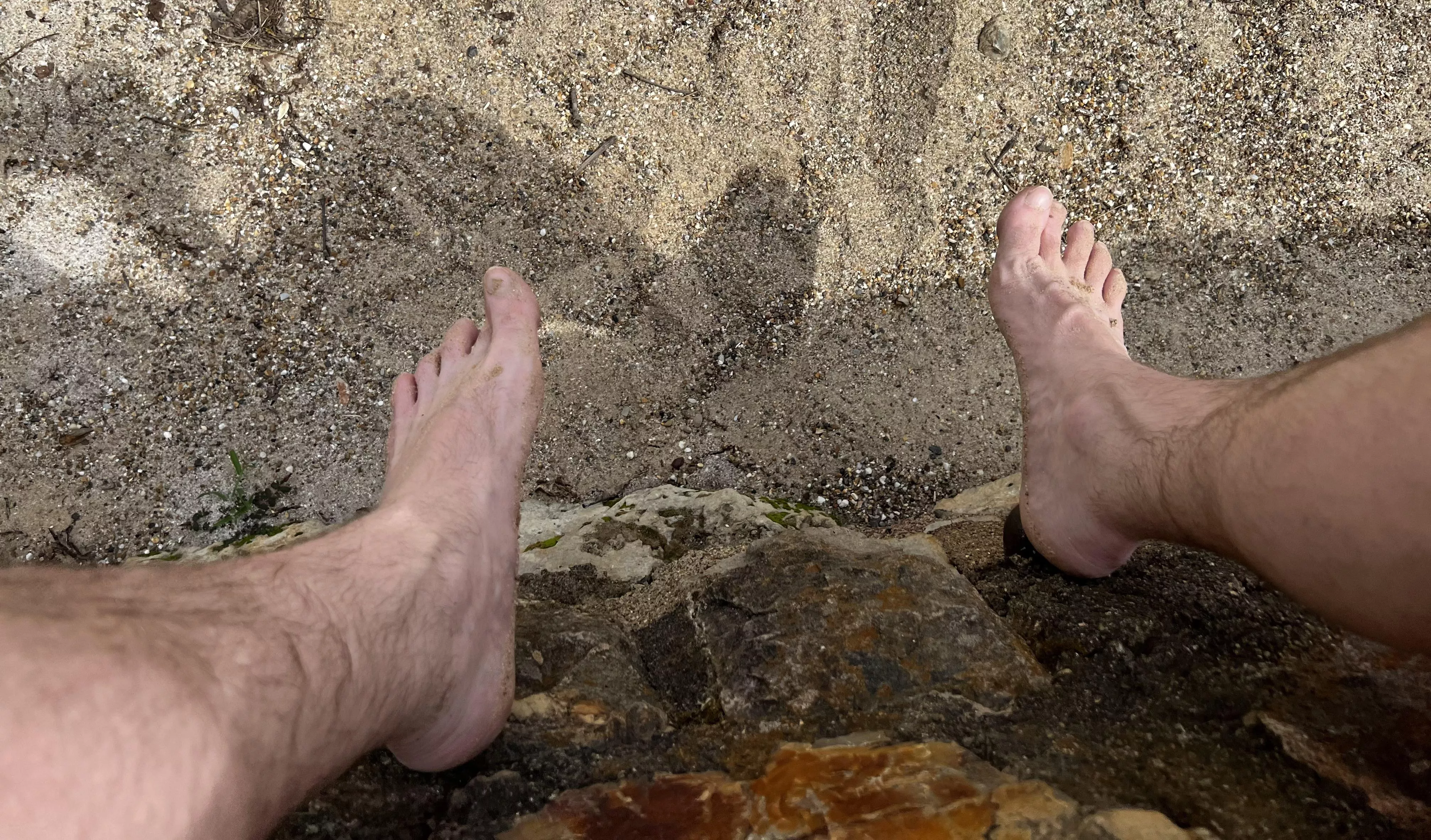 Just sitting on the wall by the beach