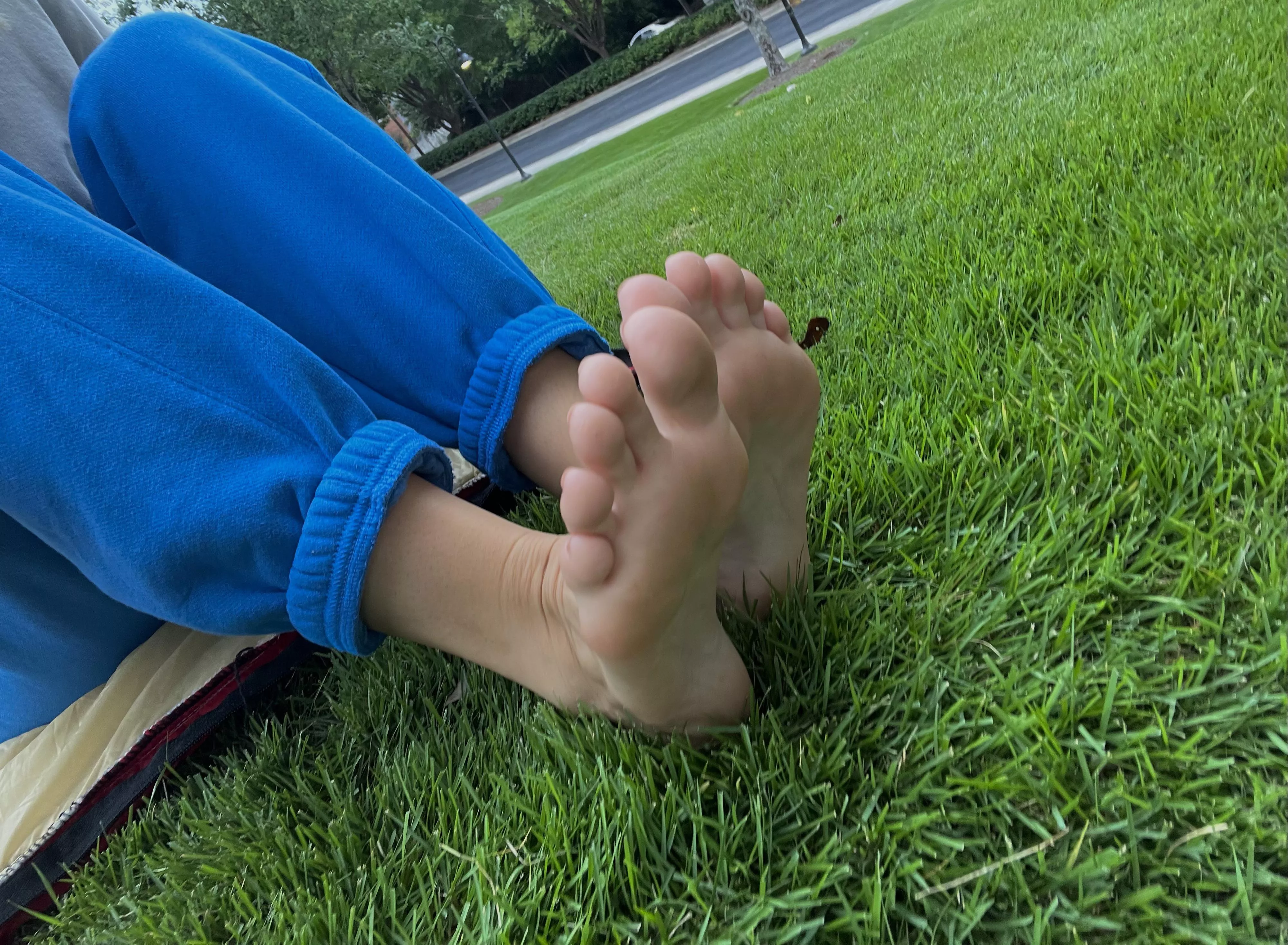 Lil soles playing in the grassâœ¨