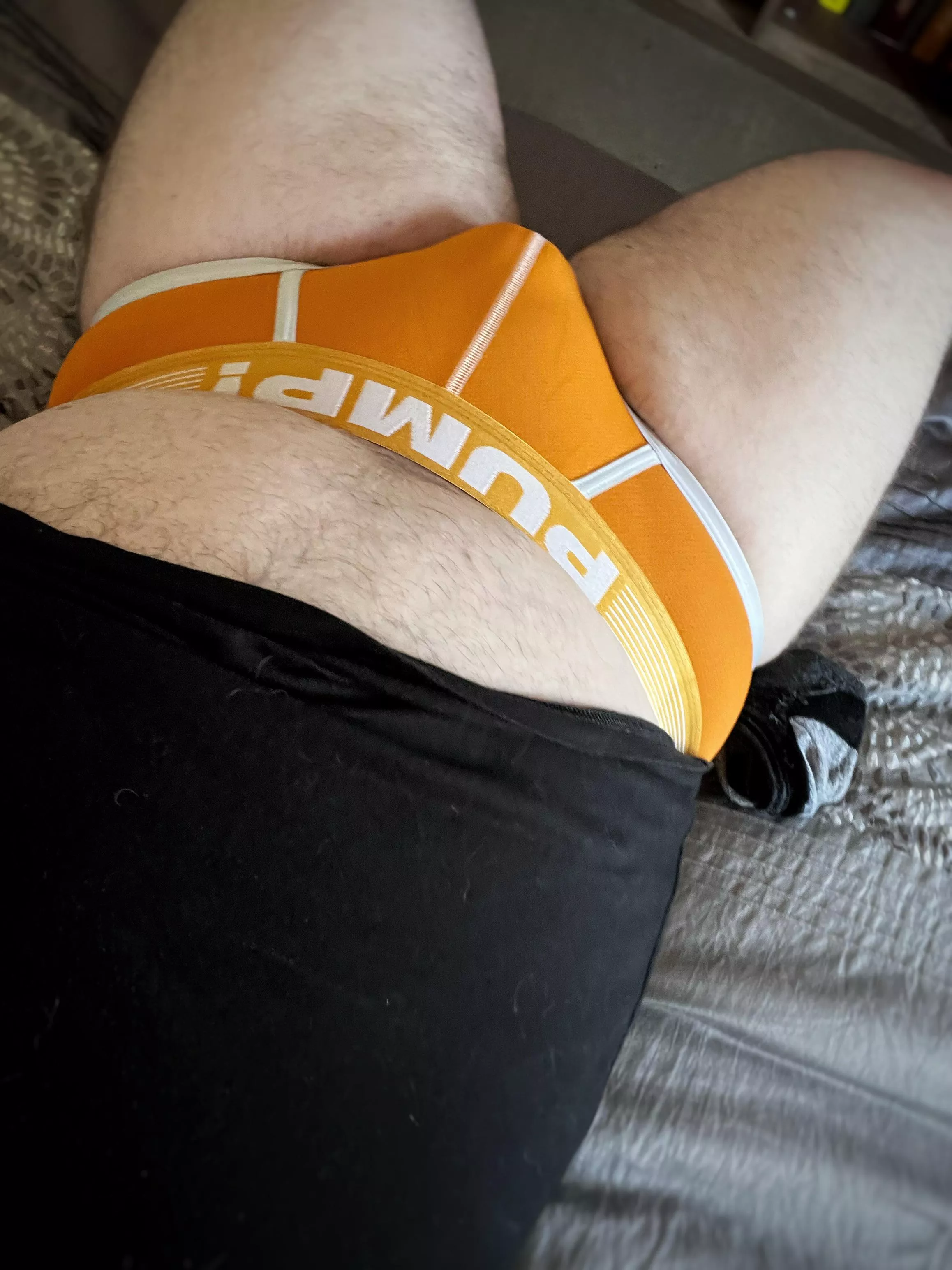 Orange creamsicle brief for today! ðŸ¤“â˜€ï¸