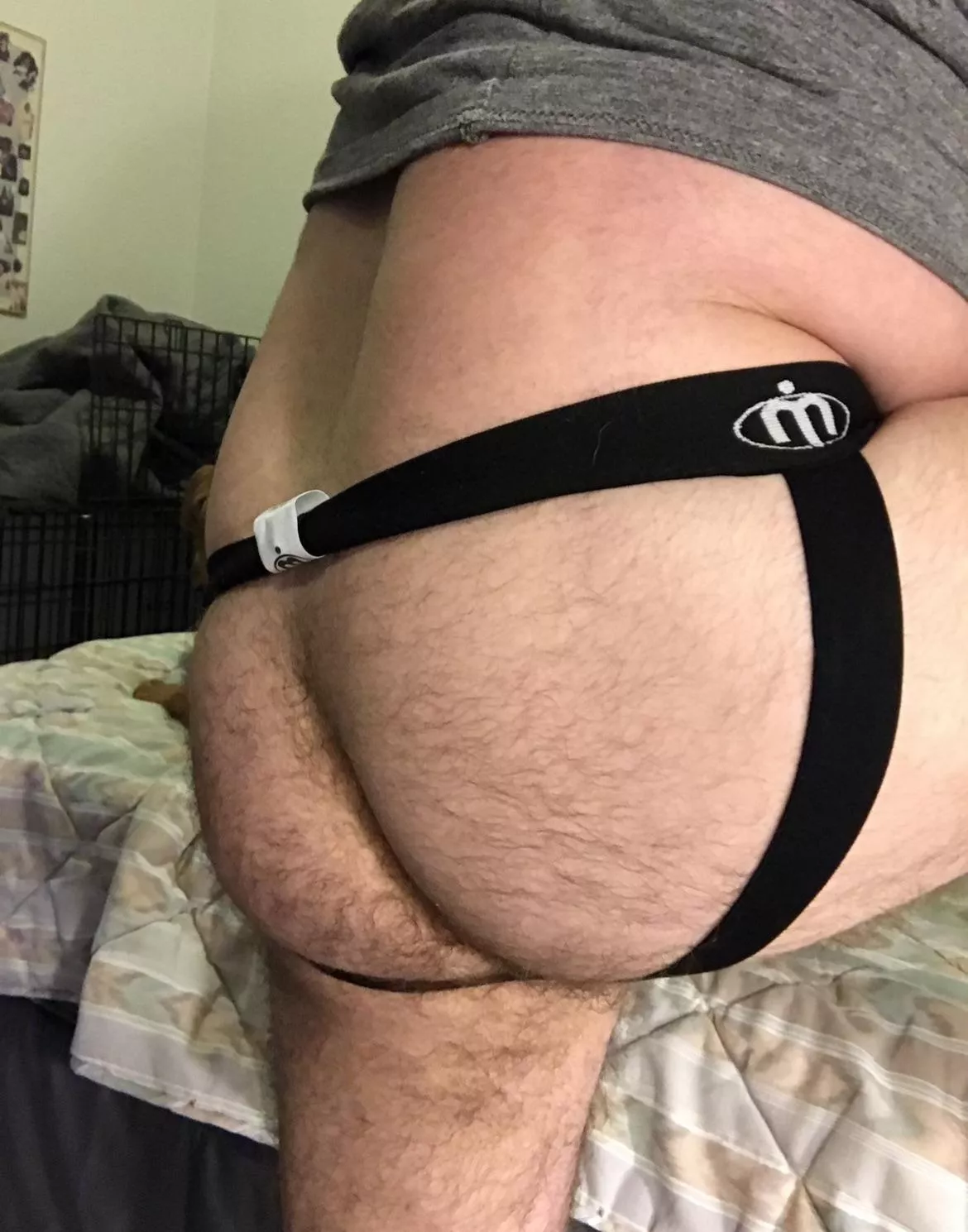 Who wants to breed me on my jockstrap