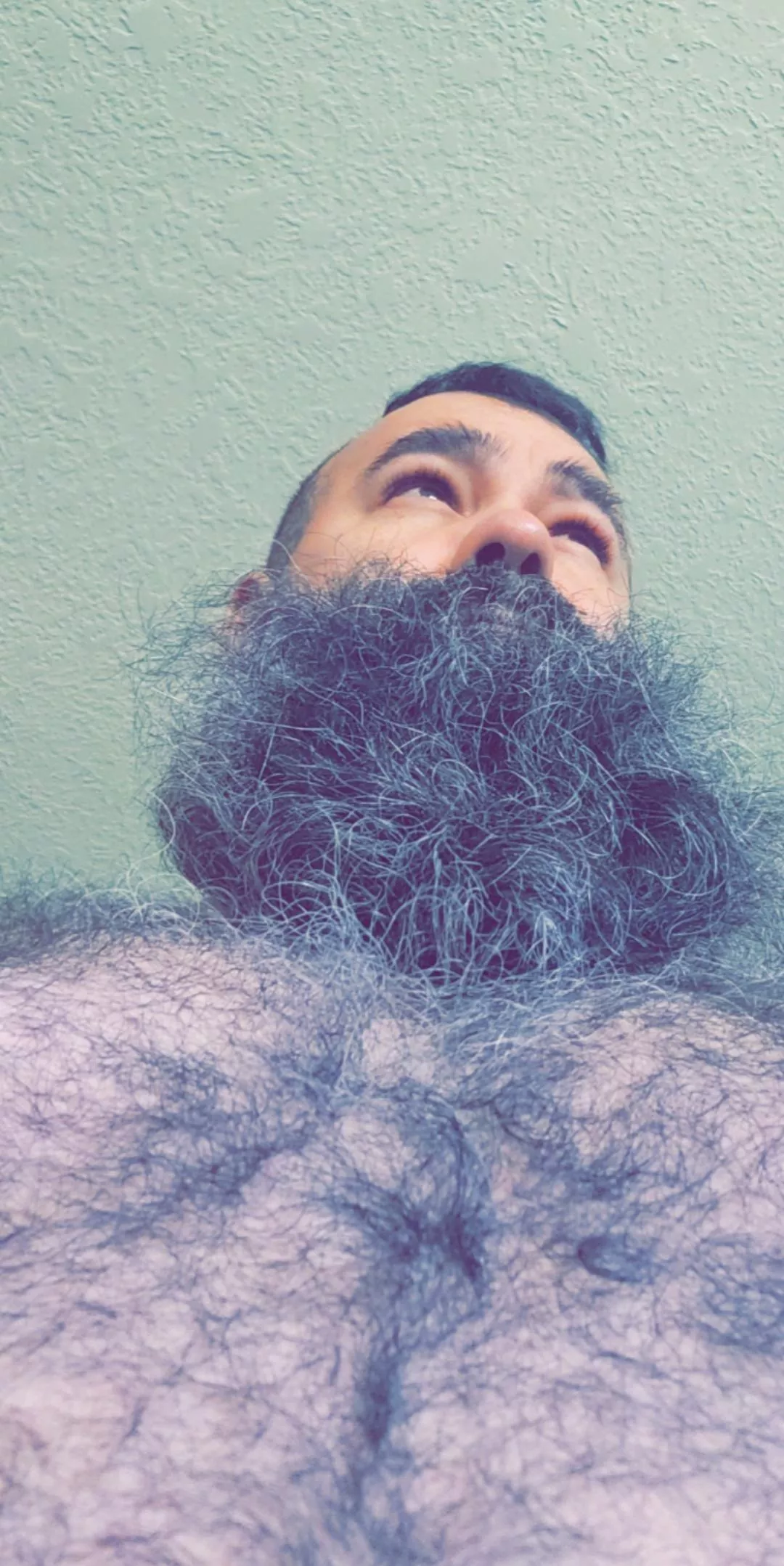 anyone like chubby hairy dudes?