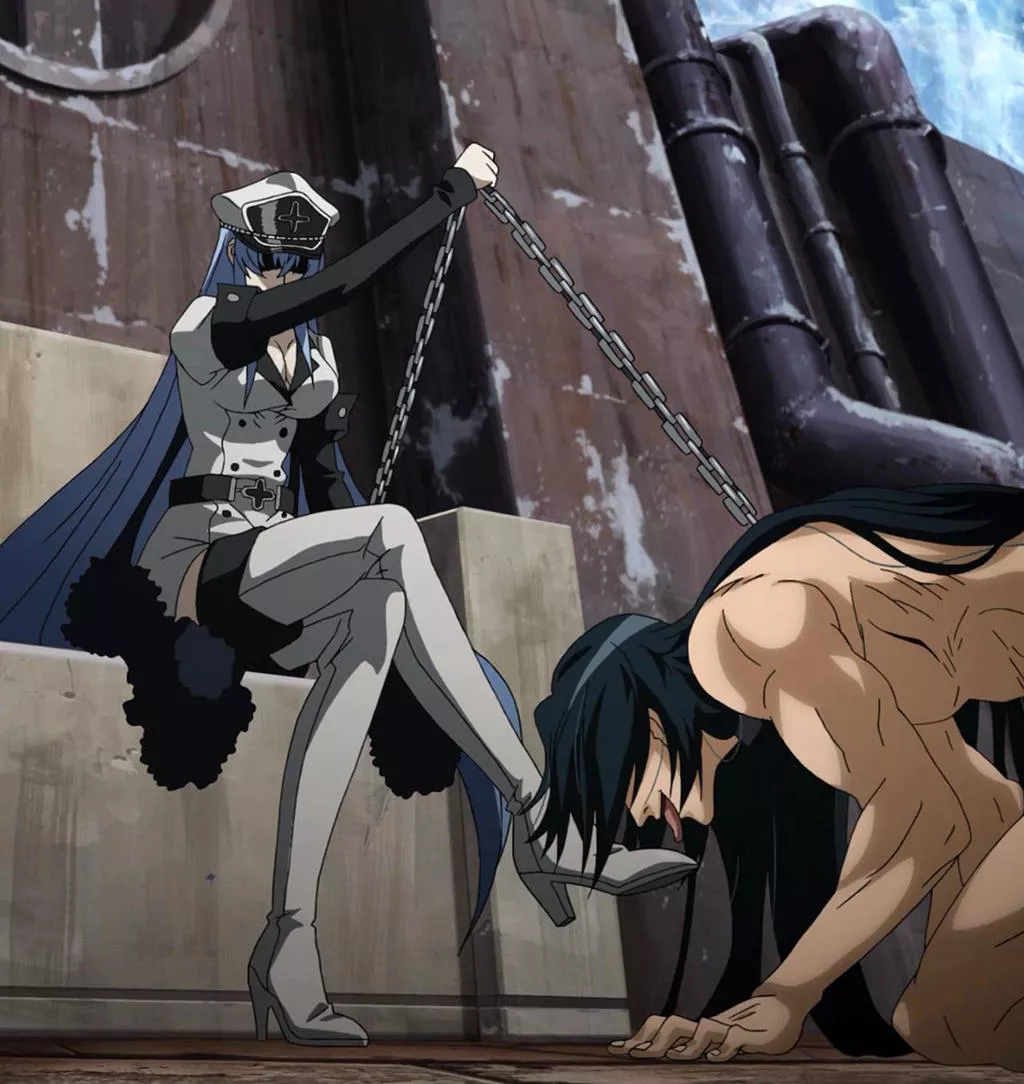 Esdeath's Slave