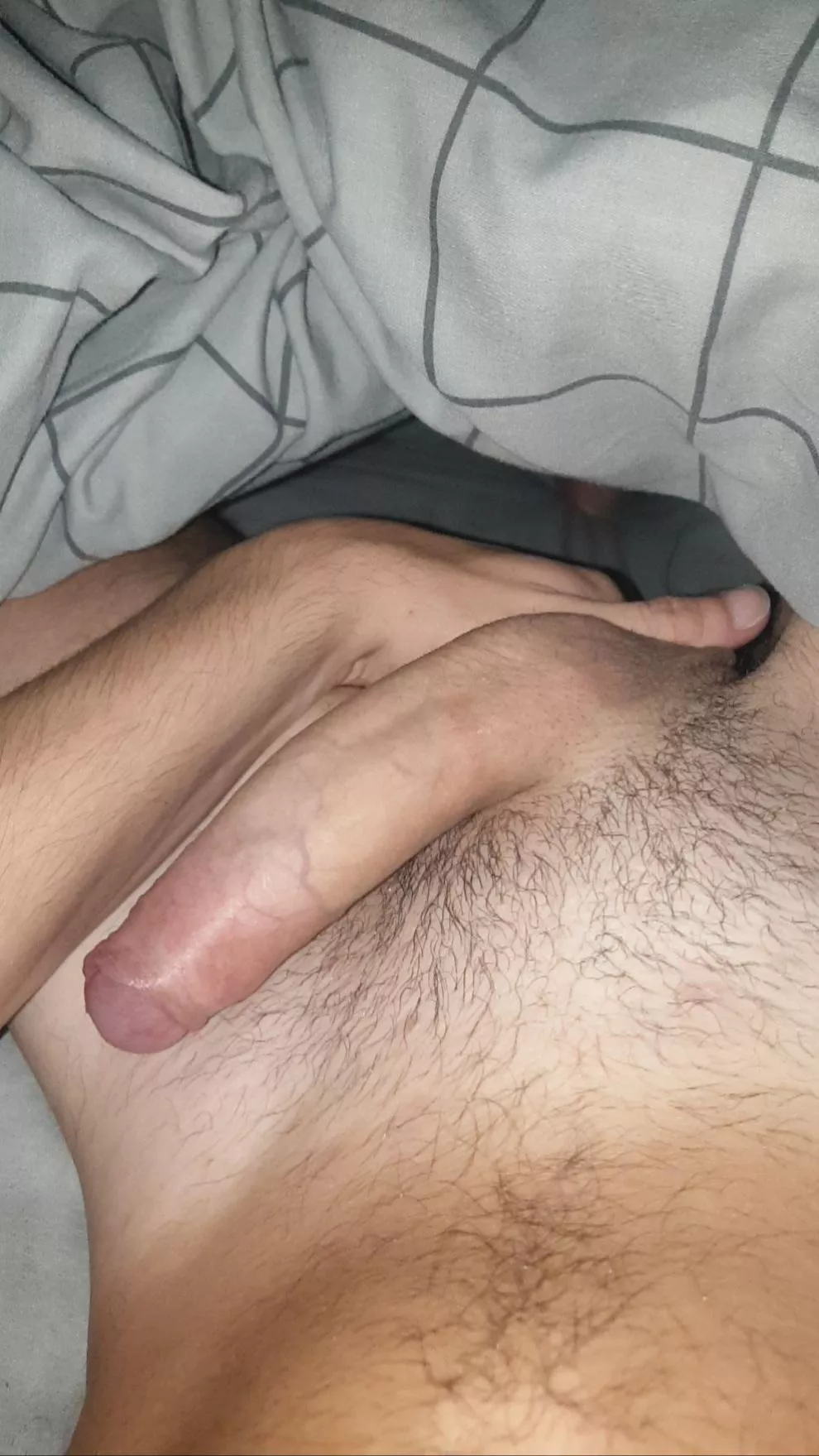 hairy and horny