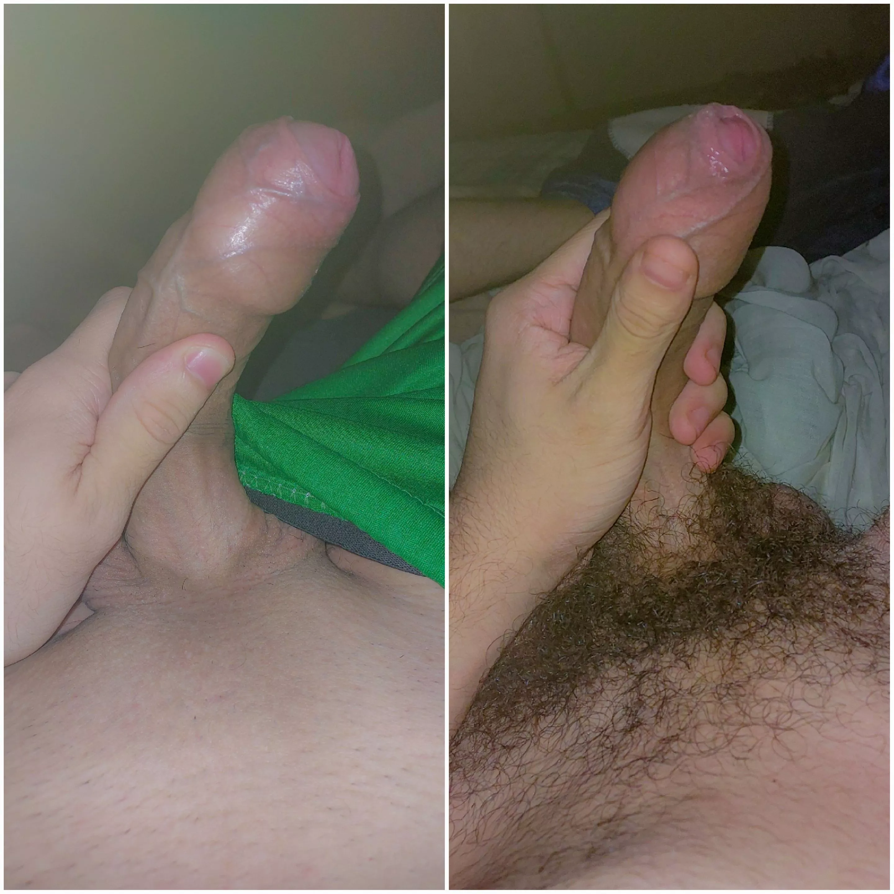 shaved or hairy?