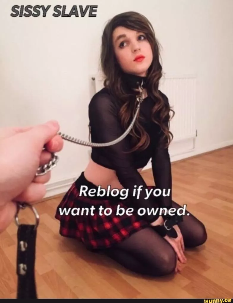 sissy slave