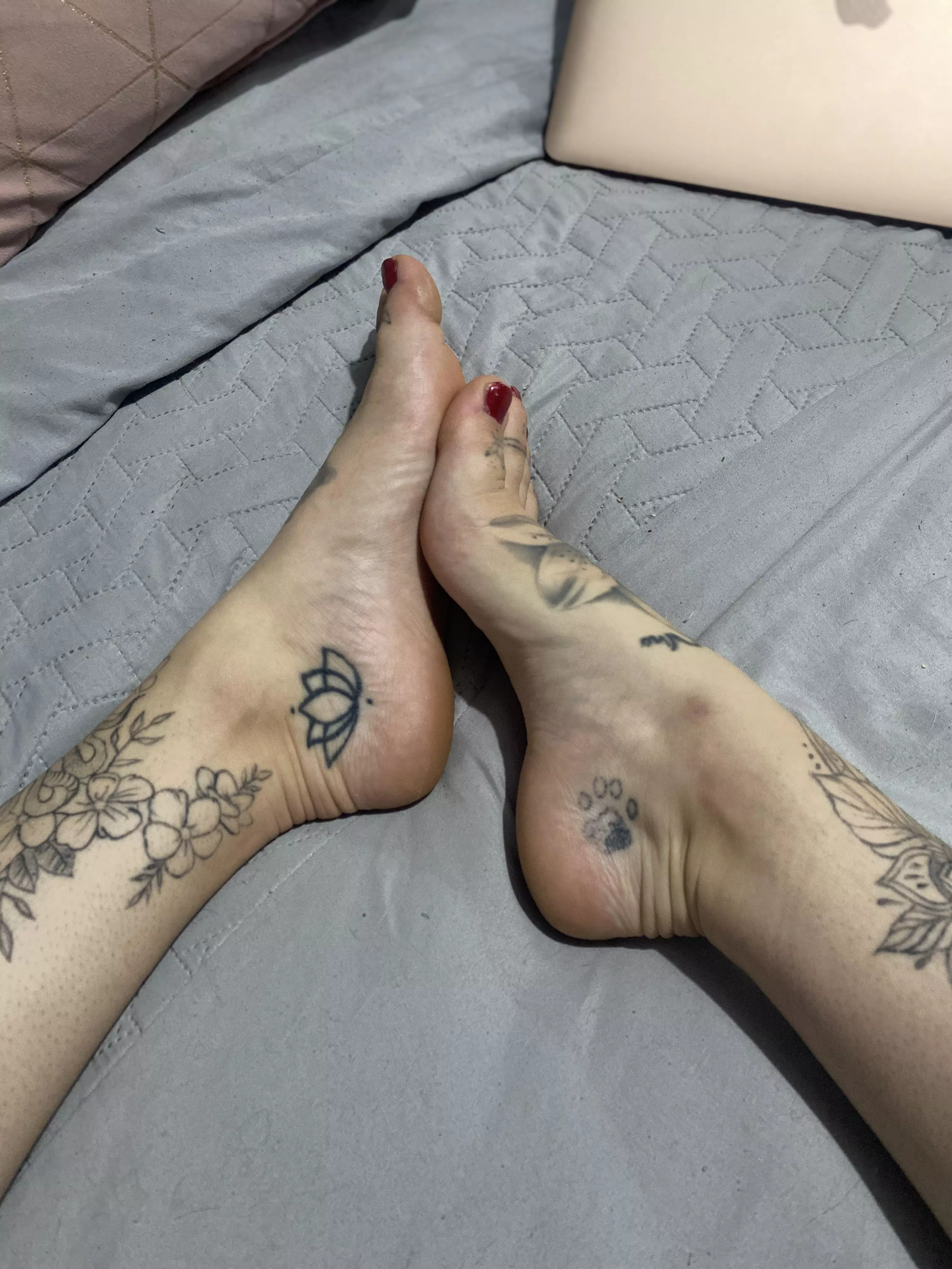 Would you cum on them?