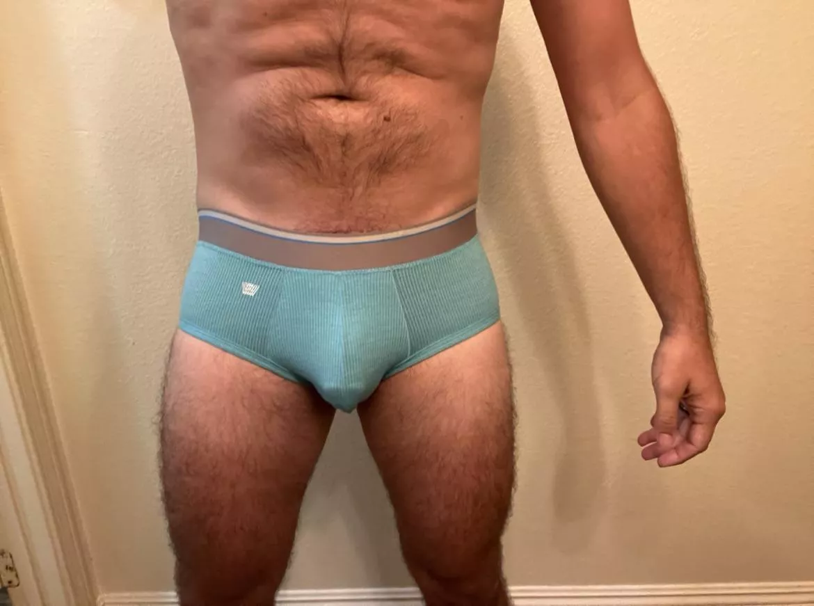 First pair of briefs.