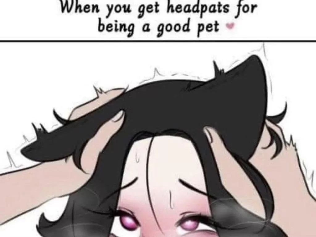 Good pets get head pats