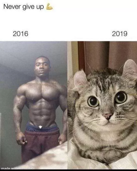 Man to Cat