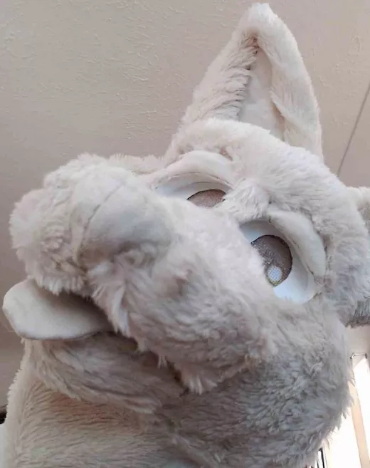 My furst fursuit head!