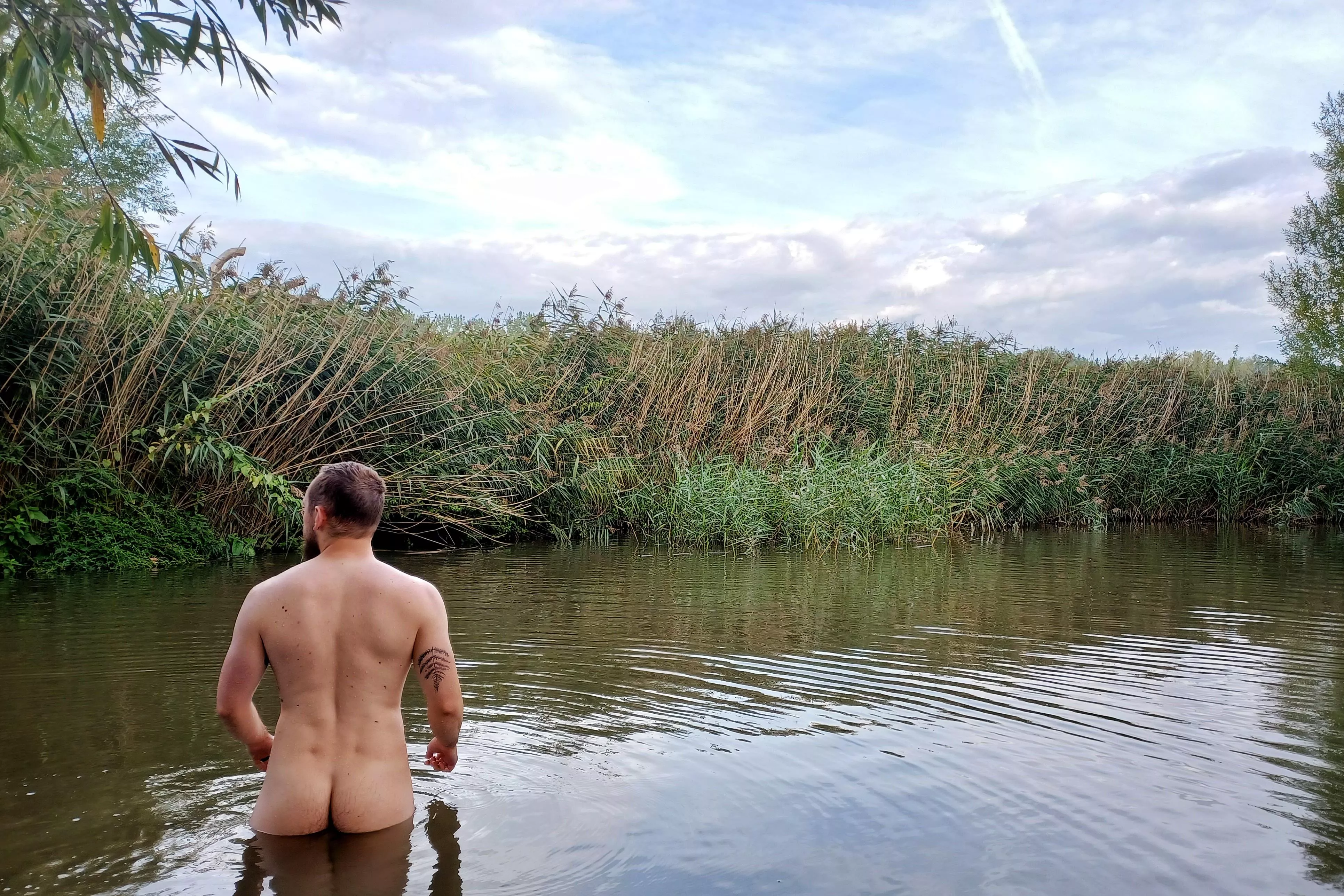 An ass among the reeds.