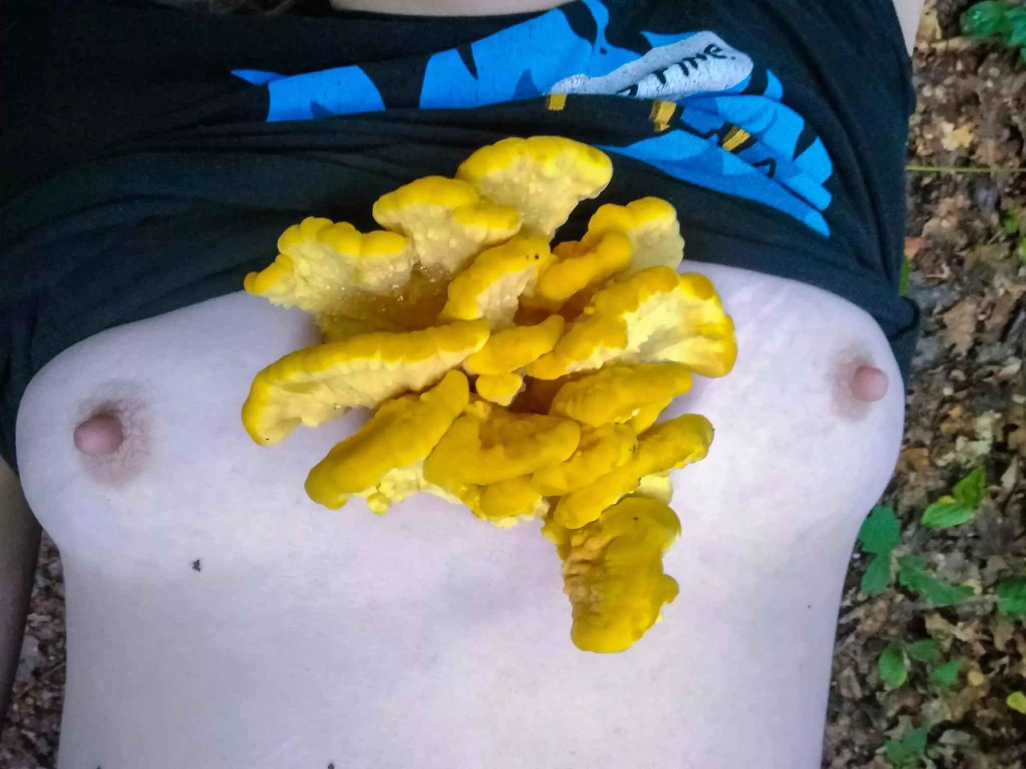 foraging and titties, a match made in heaven