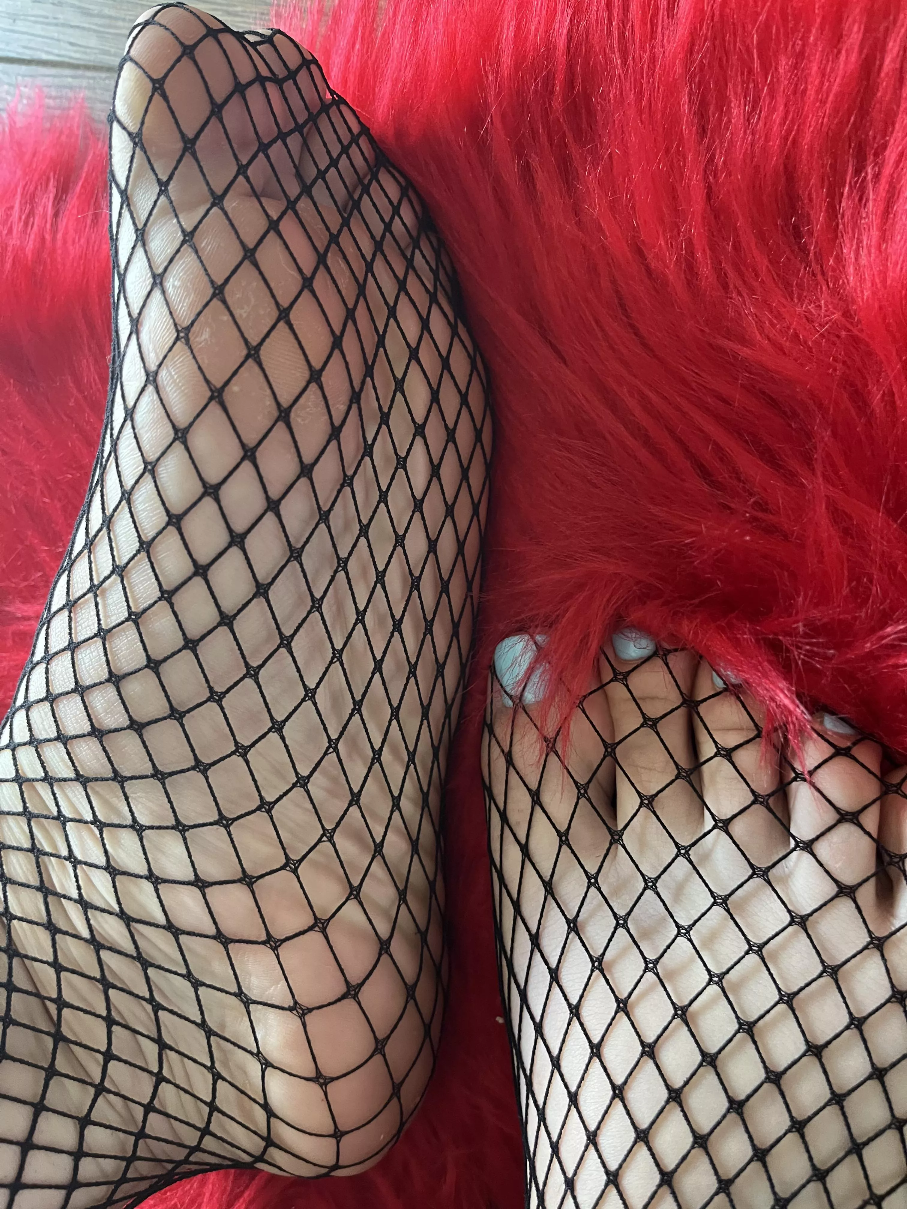 How about soles in fishnets