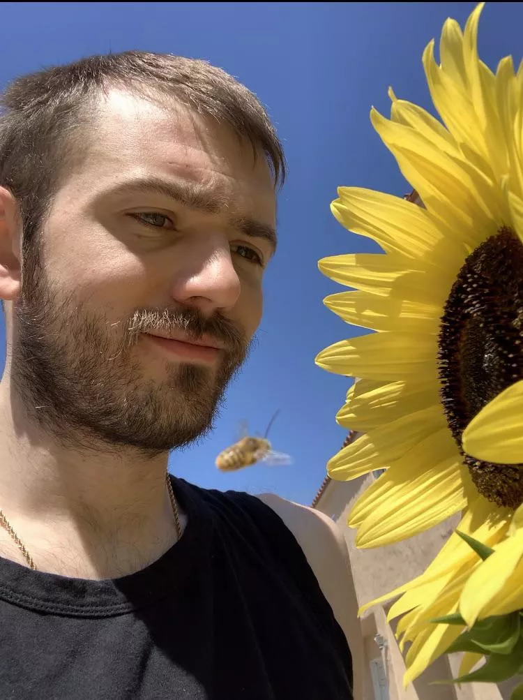 Just me and a bee in my garden ðŸ˜¸ ðŸ ðŸŒ»