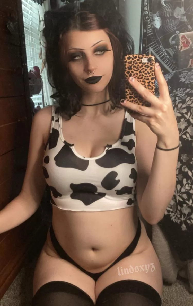 moooo