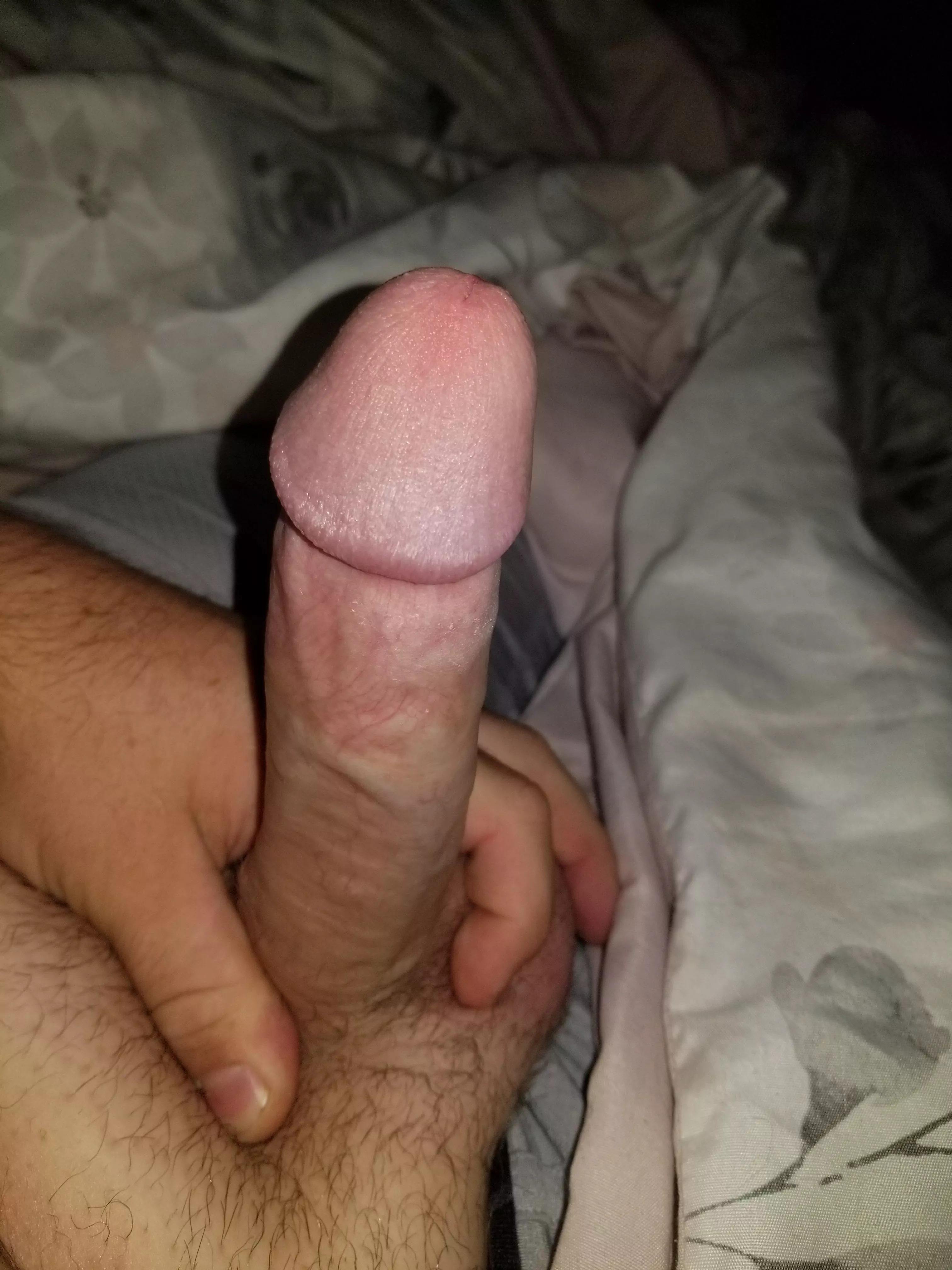 no caption just my chubby 35yo cut cock