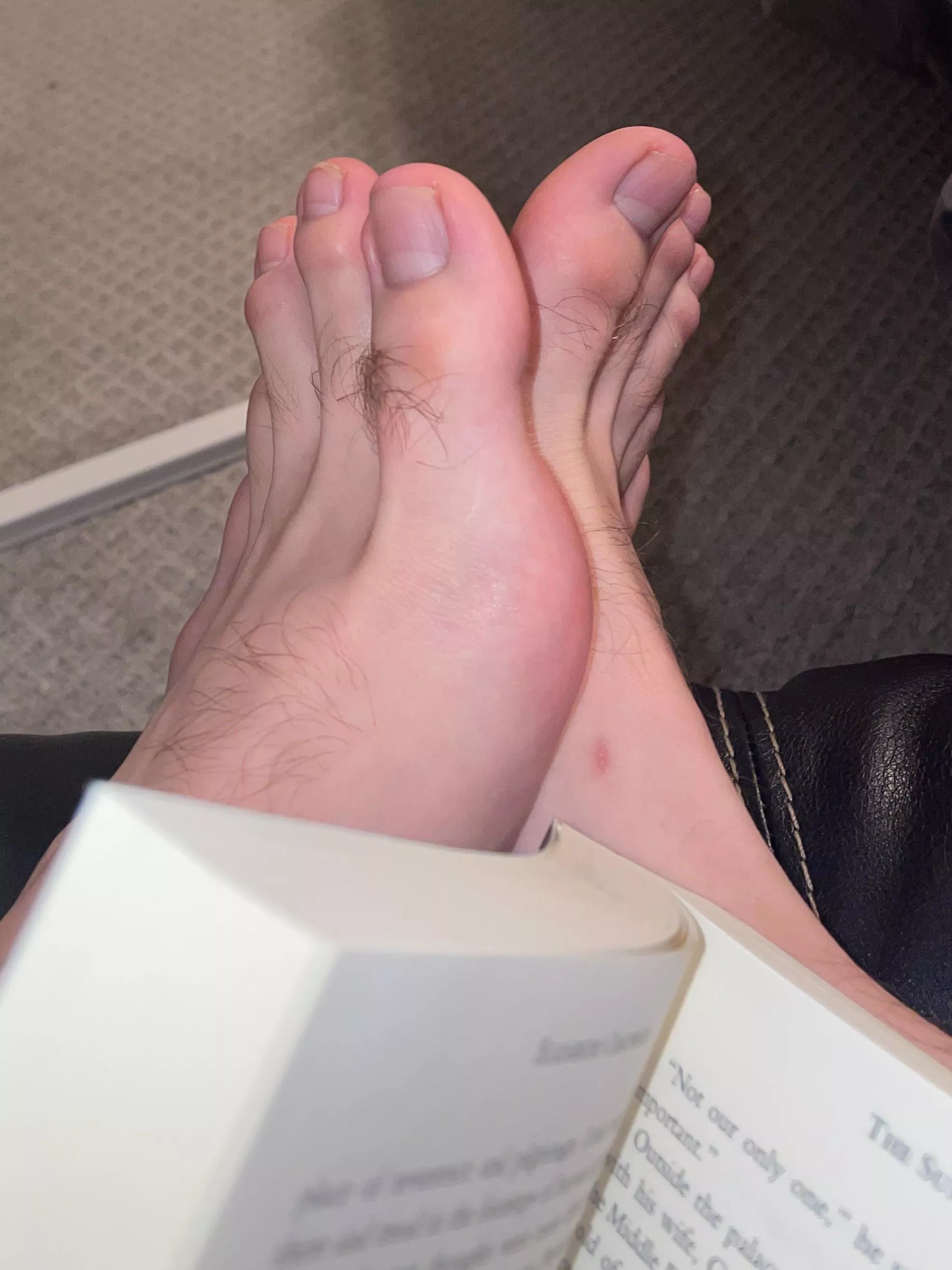 Suck my toes while I read