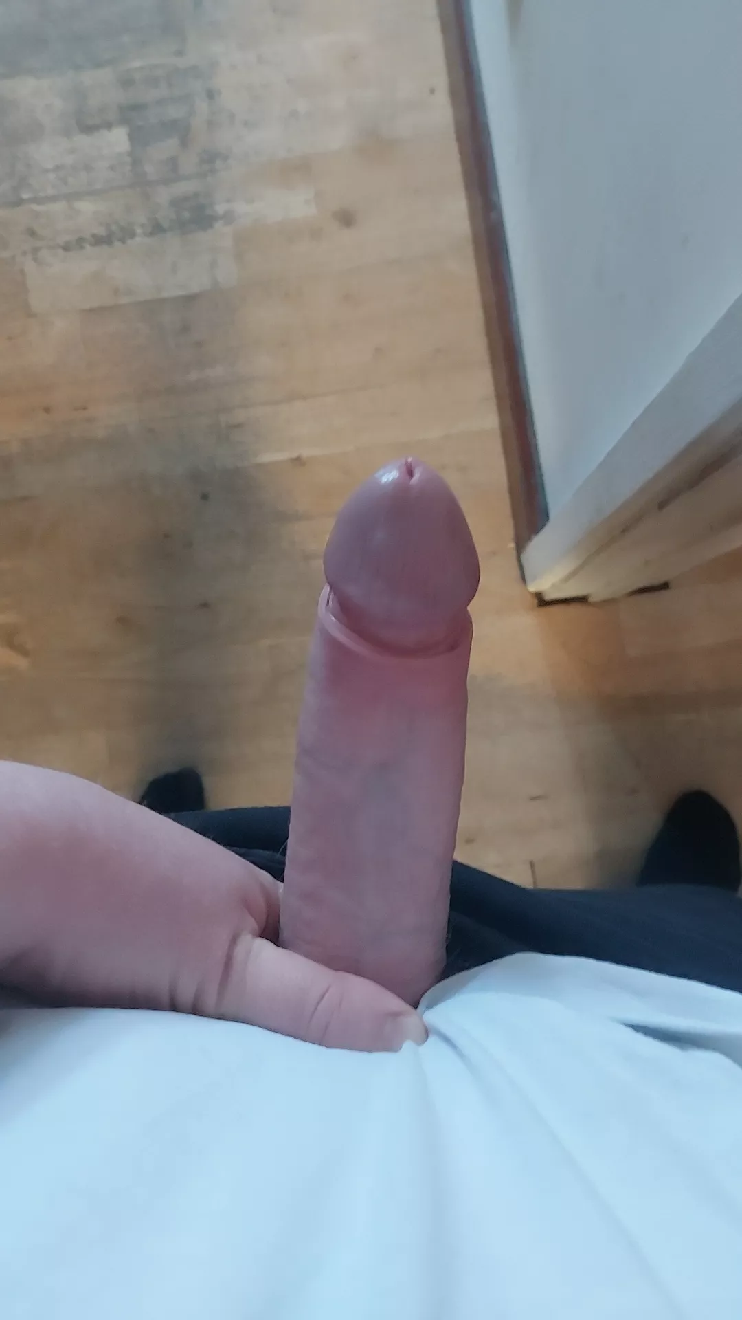 UK student, would you suck or ride?