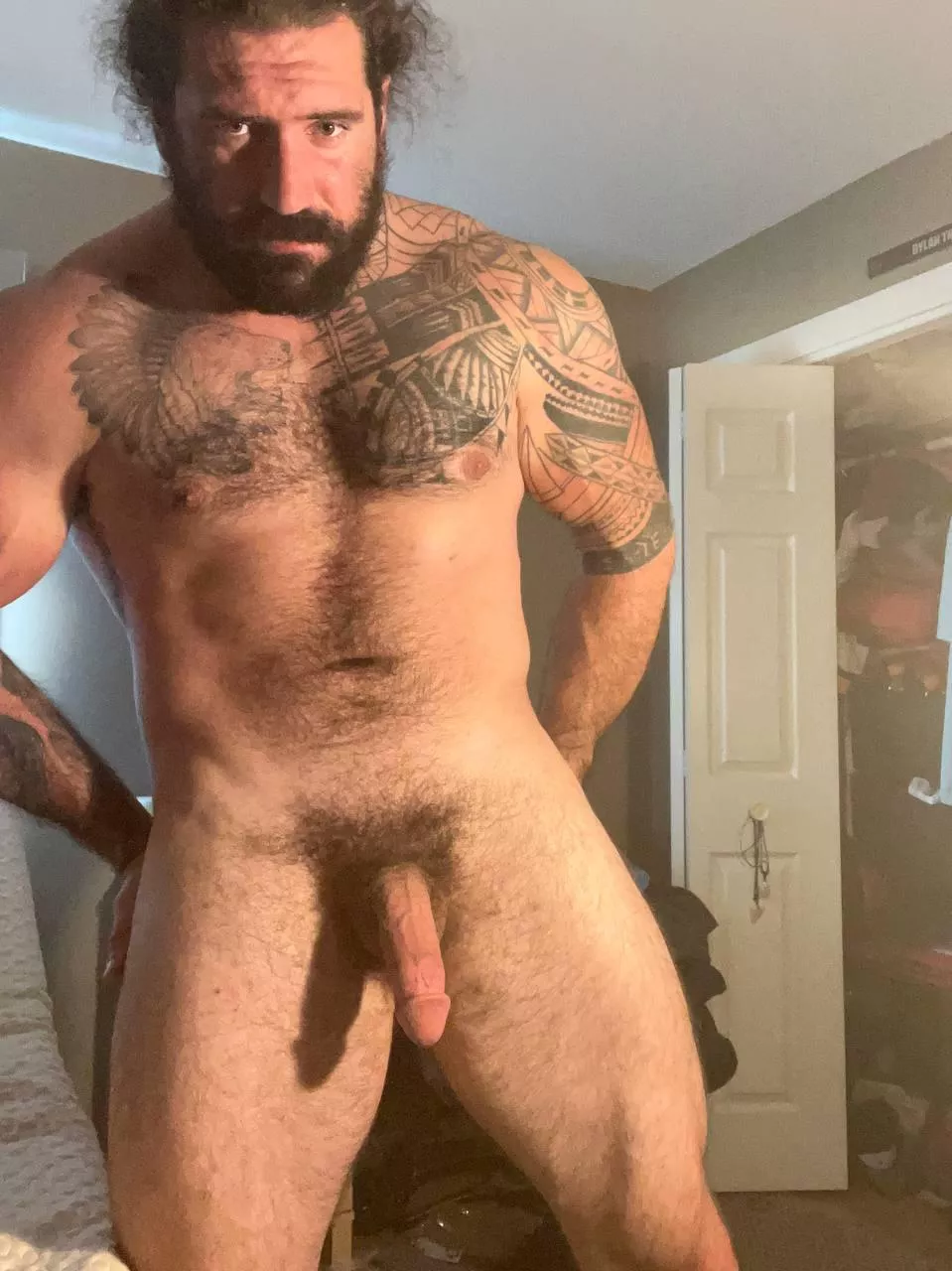 Anybody like a massive hairy softie?