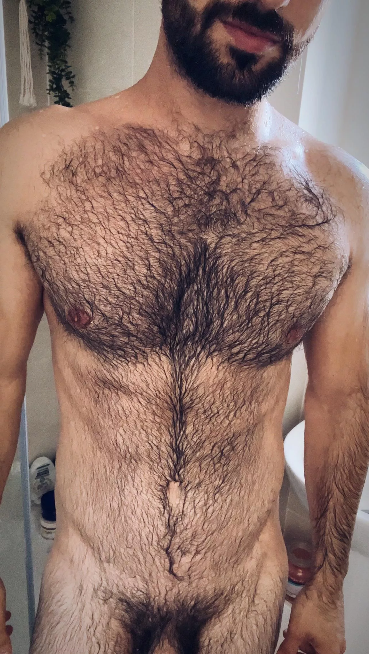 Do you like wet hairy men?