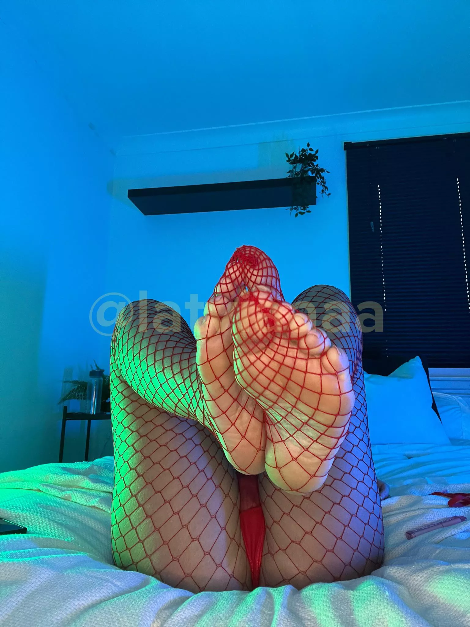 wanna lick my soles or suck my toes?